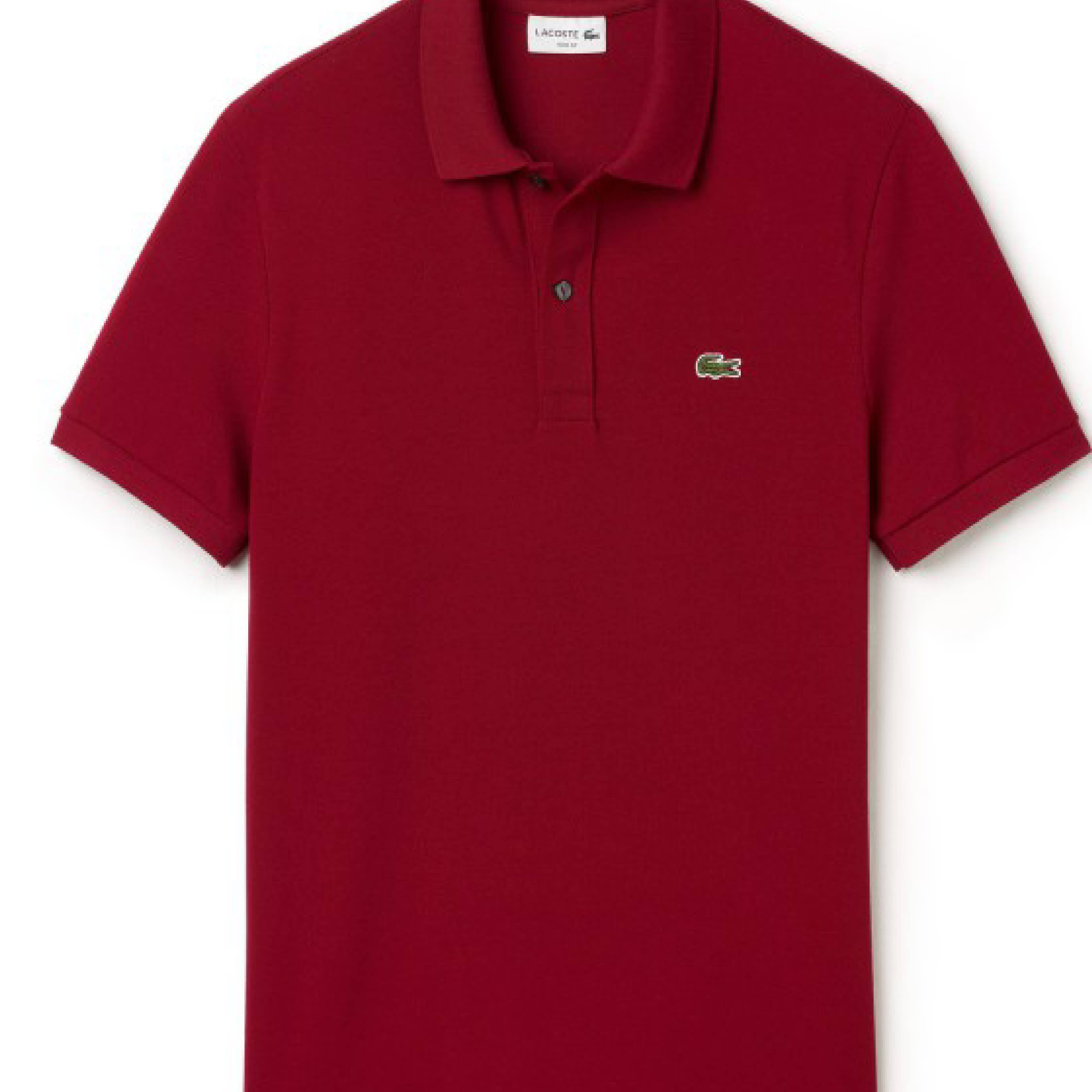MAGLIONI E POLO Bordeaux Lacoste