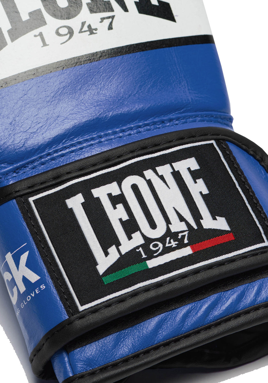 BOXE-KARATE-JUDO Blu Leone