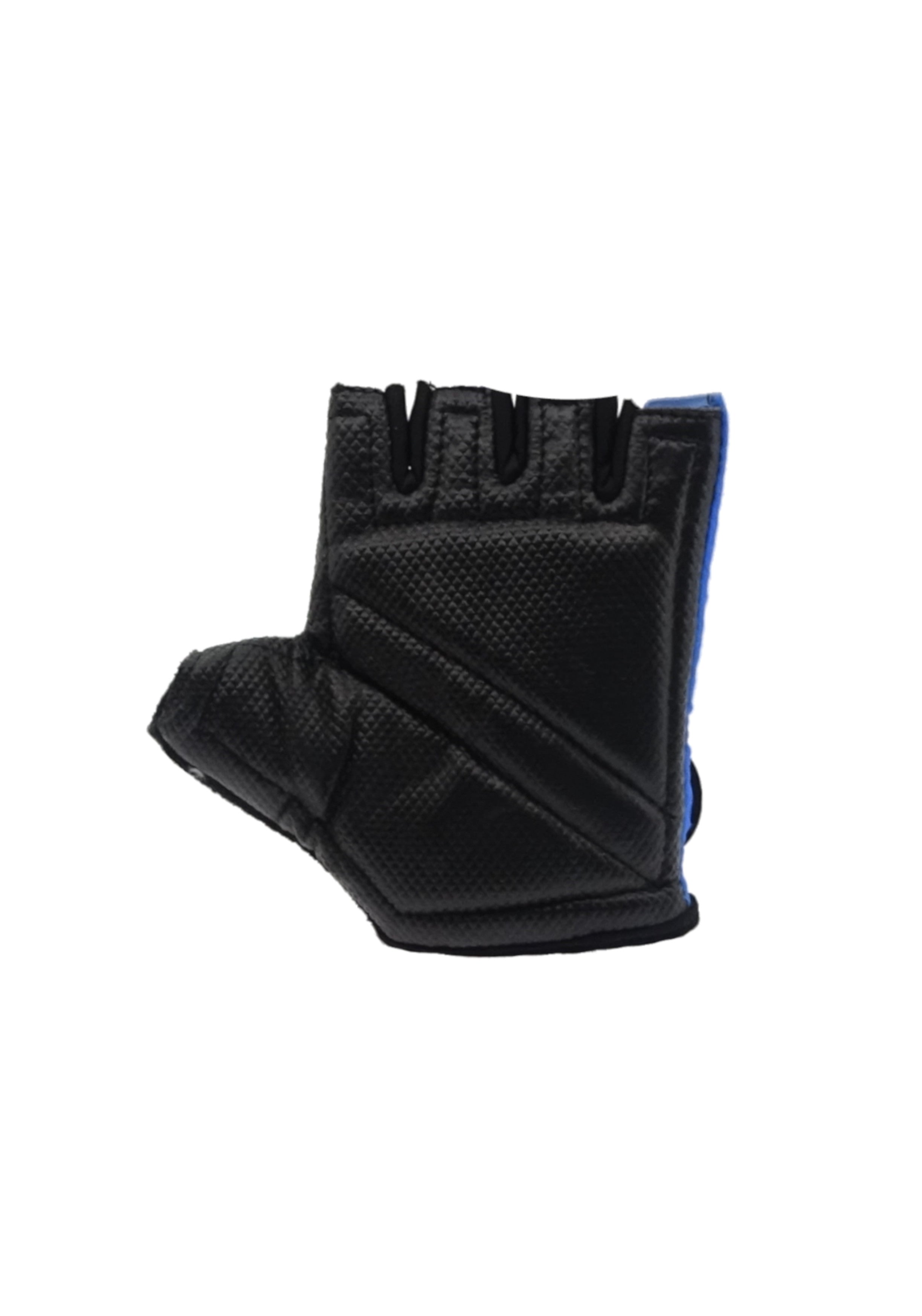ACCESSORI PALESTRA Azzurro/nero Freddy