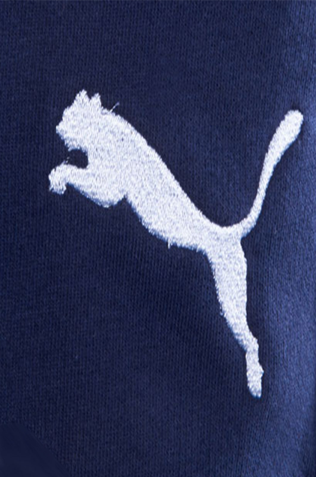 PANTALONCINI Blu Puma