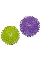 ACCESSORI PALESTRA Verde/viola Toorx