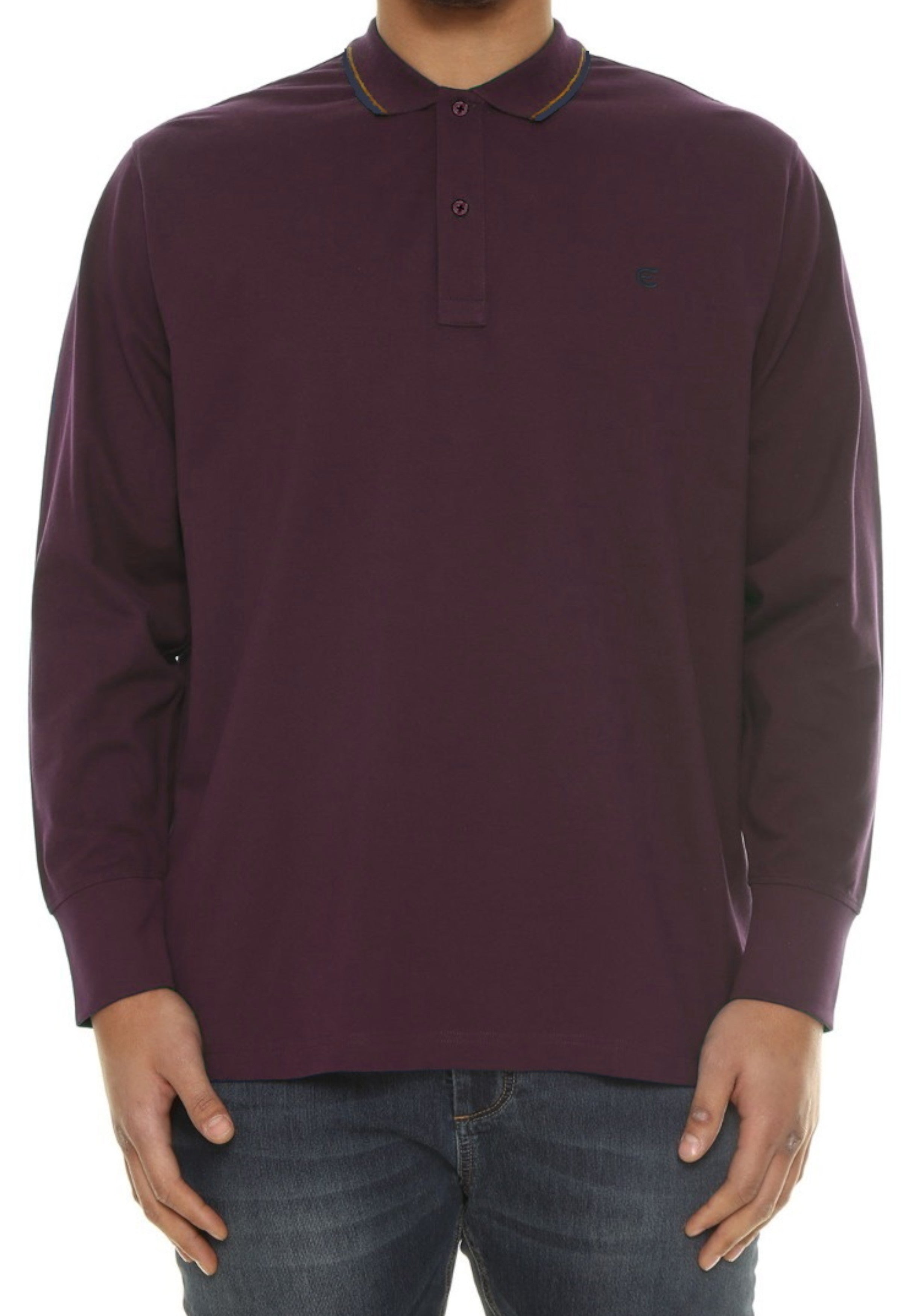 MAGLIONI E POLO Bordeaux Max Fort