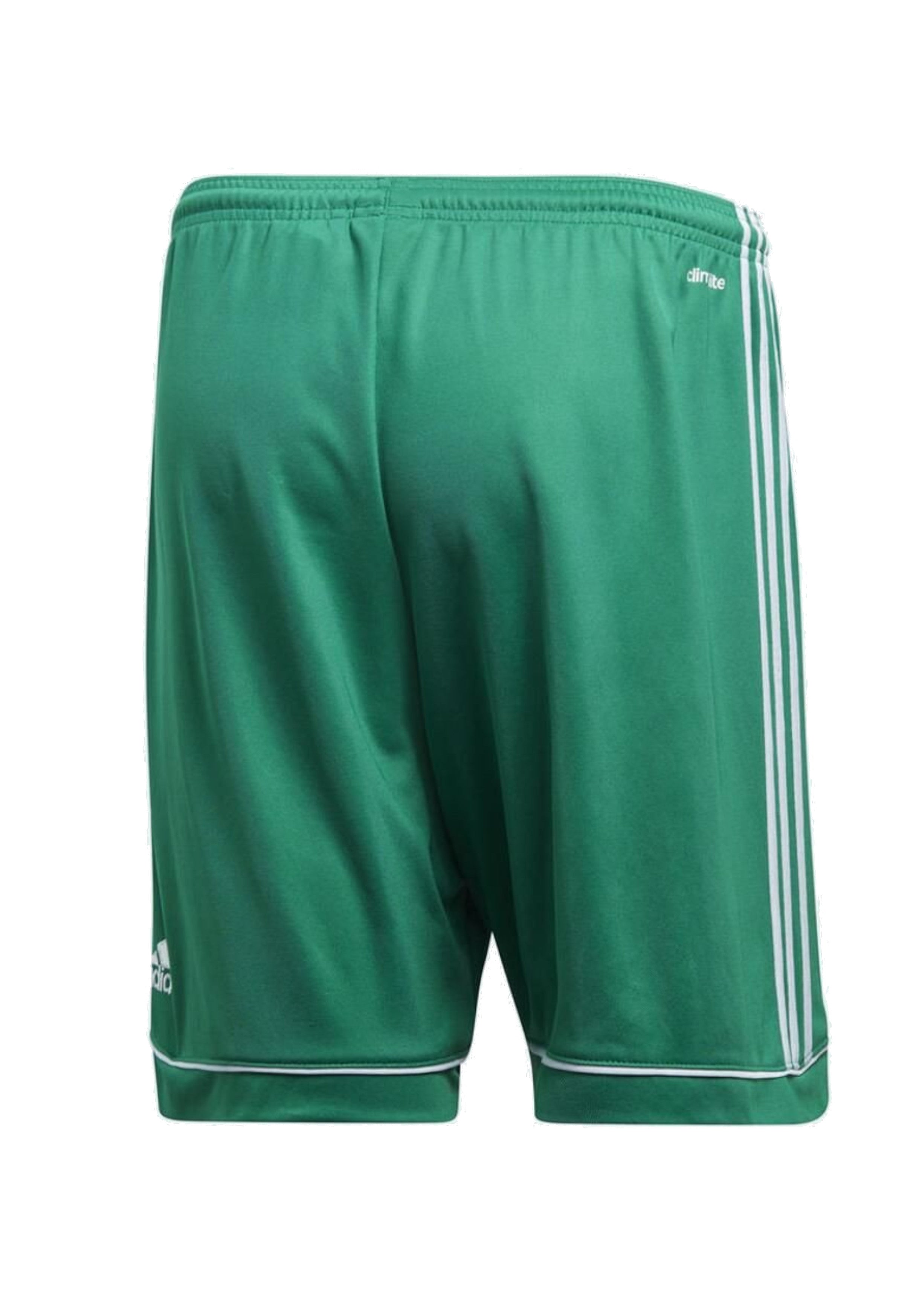 PANTALONCINI Verde Adidas