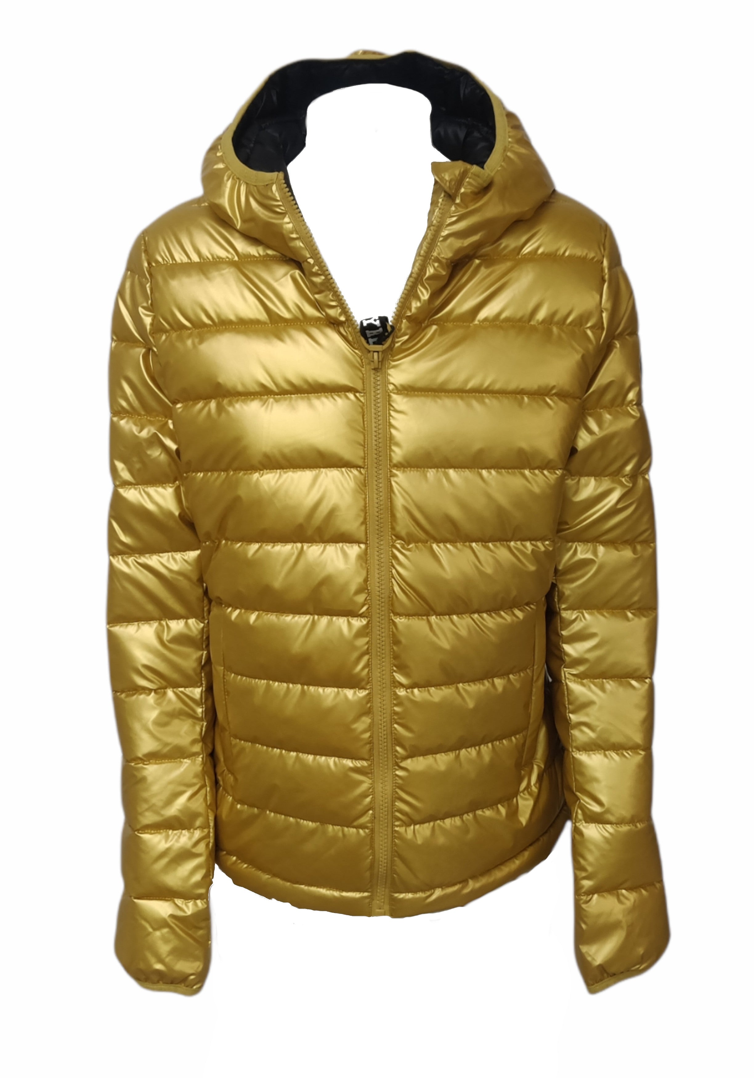 GIUBBINI E GIACCHE Oro Pyrex