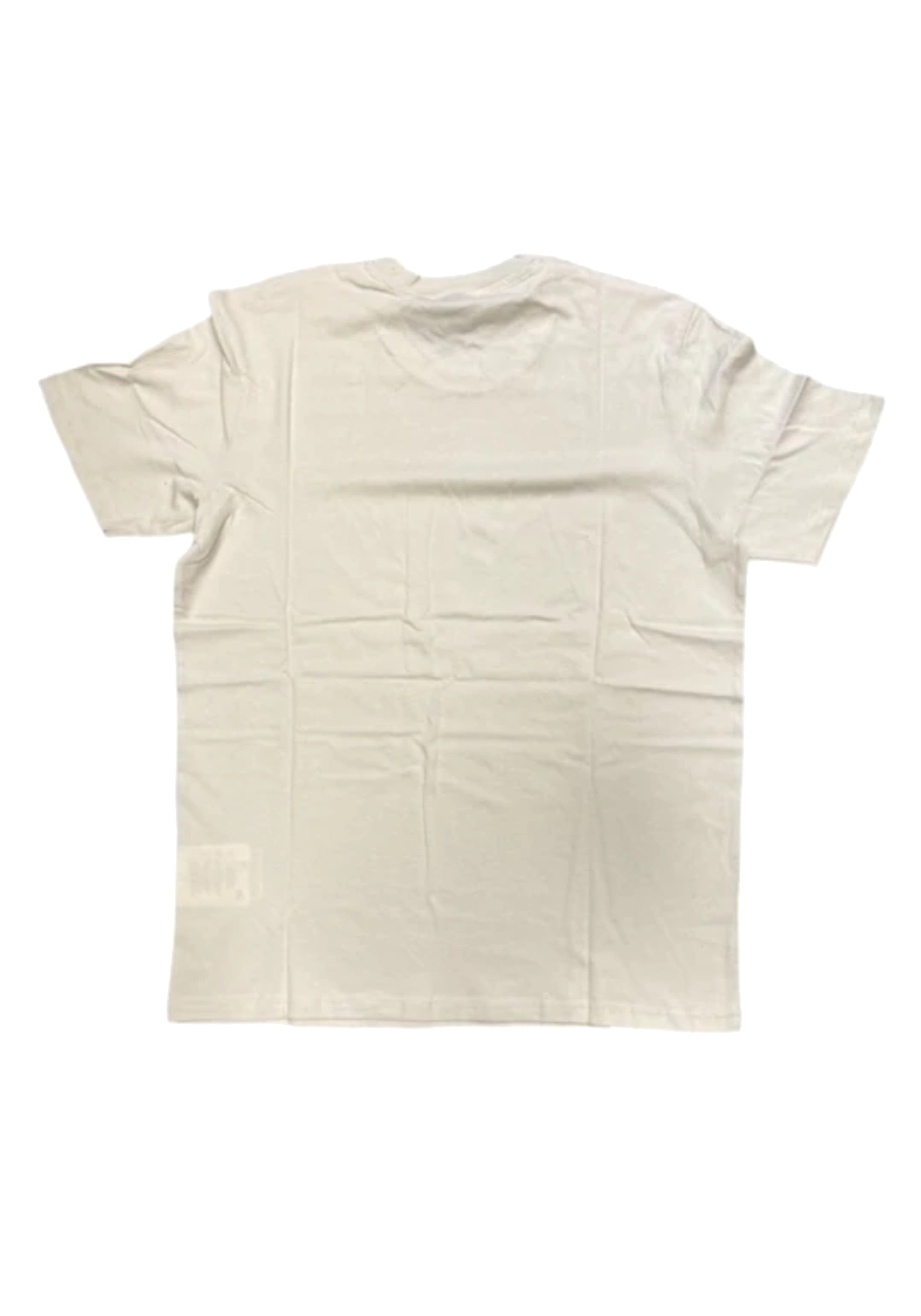 T-SHIRT E CANOTTE Blu/beige Champion