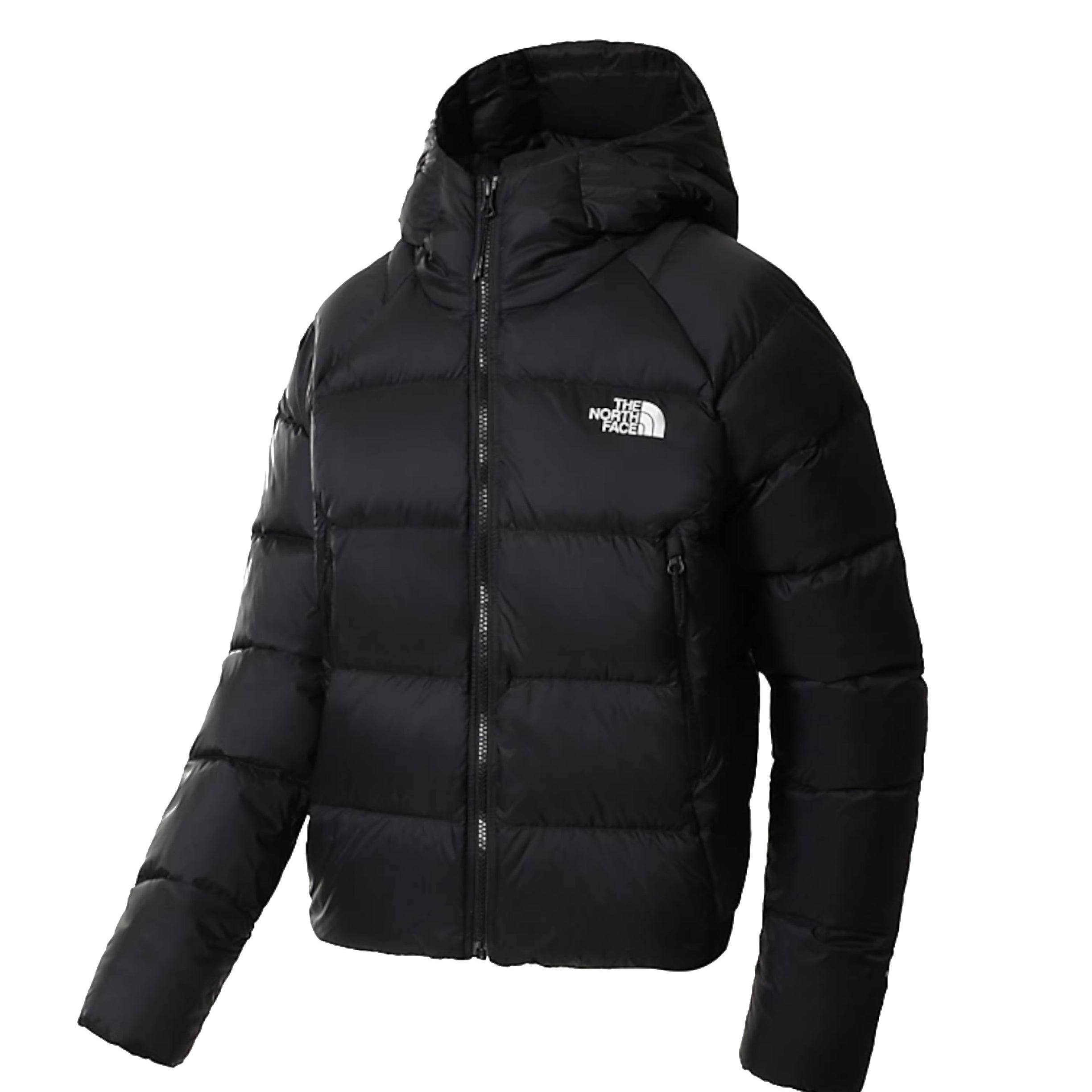 GIUBBINI E GIACCHE Nero The North Face