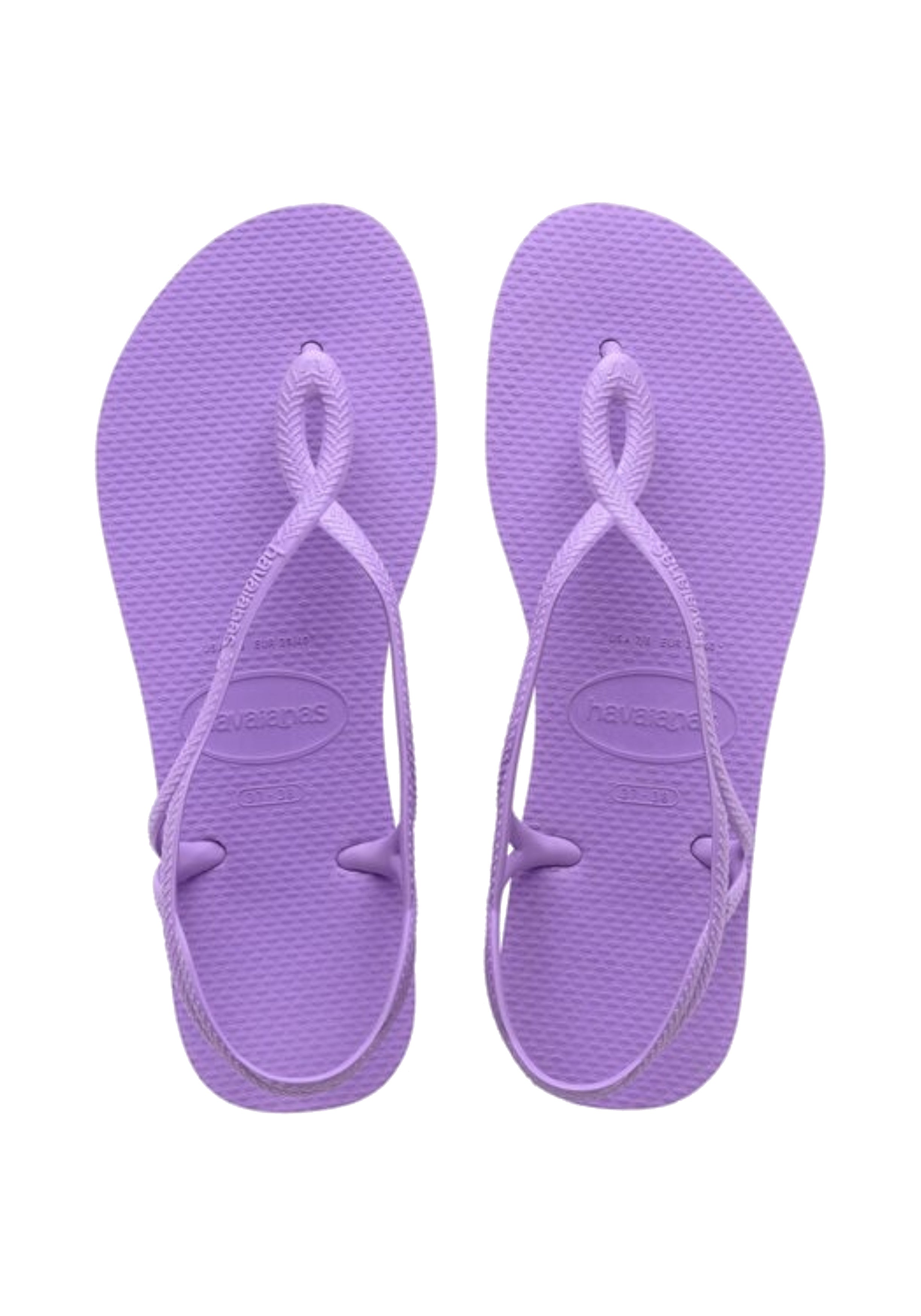 CIABATTE-INFRADITO Glicine Havaianas