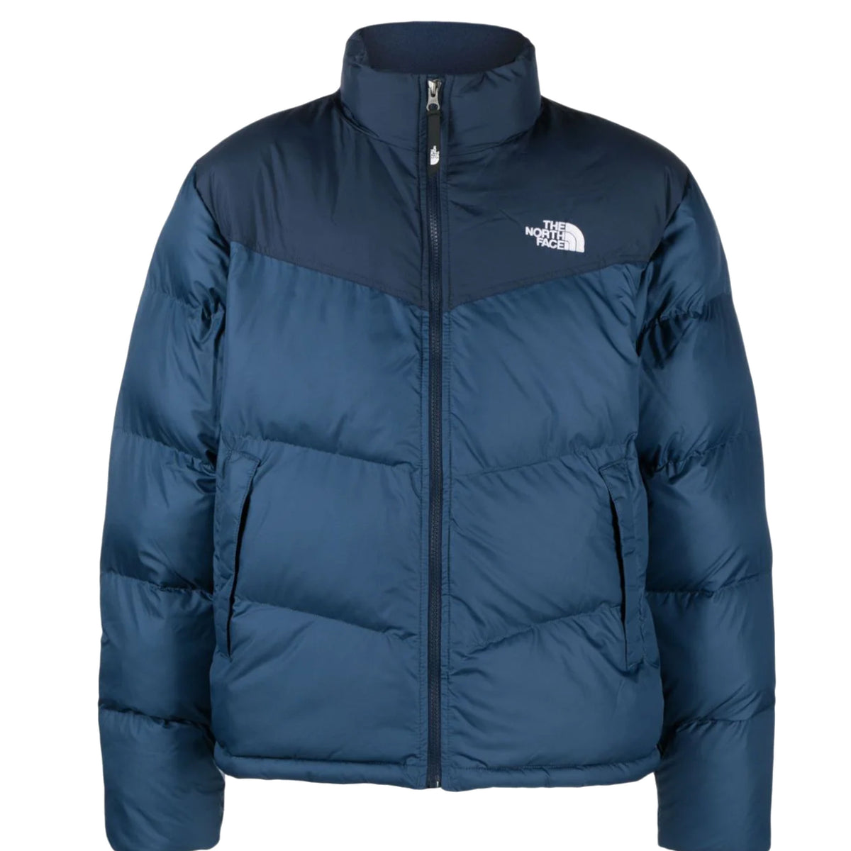 GIUBBINI E GIACCHE Blu The North Face