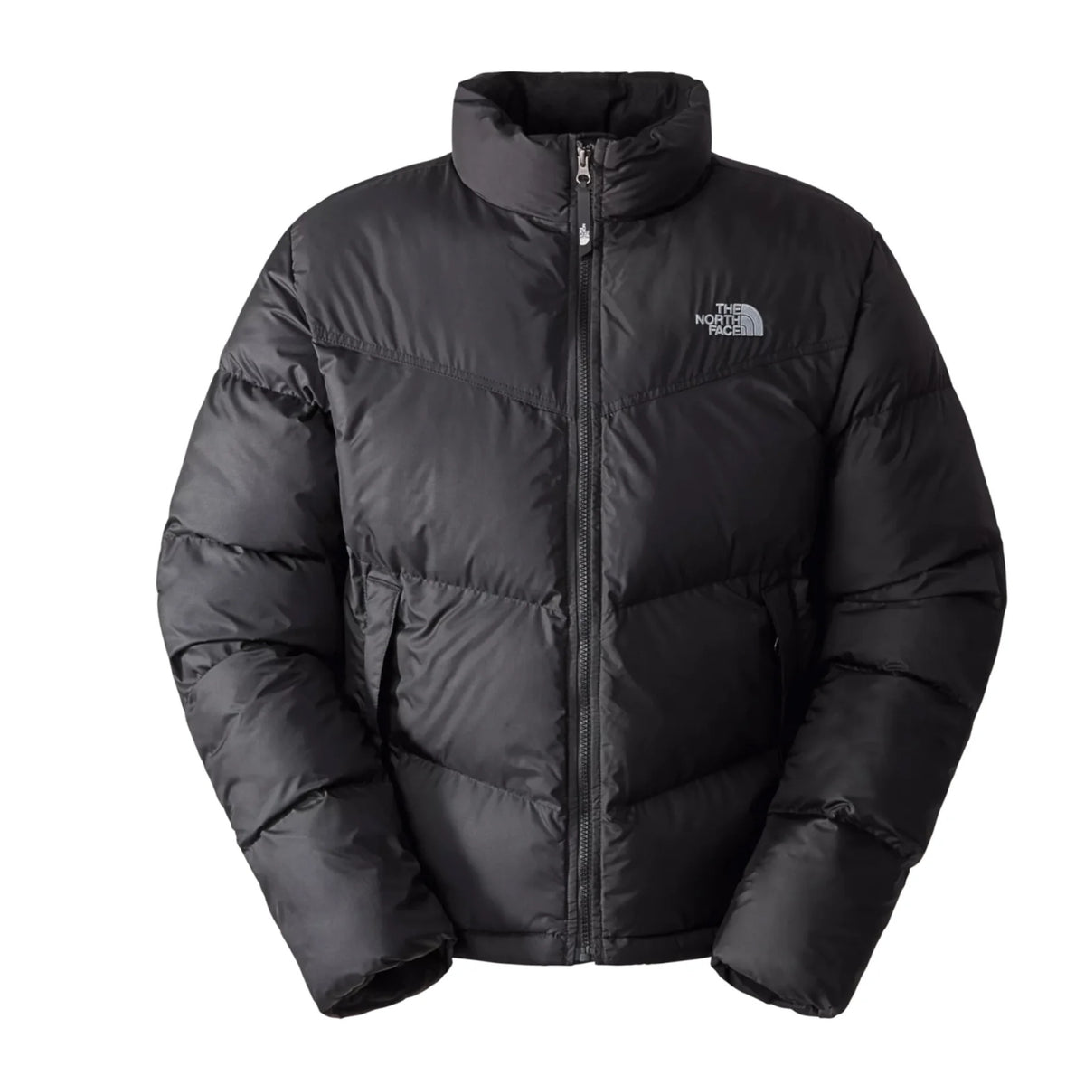 GIUBBINI E GIACCHE Nero The North Face