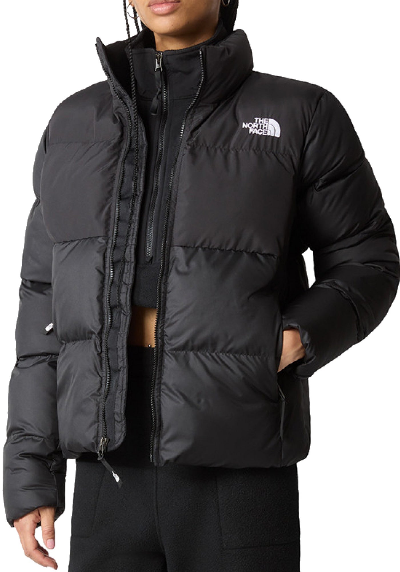 GIUBBINI E GIACCHE Nero The North Face