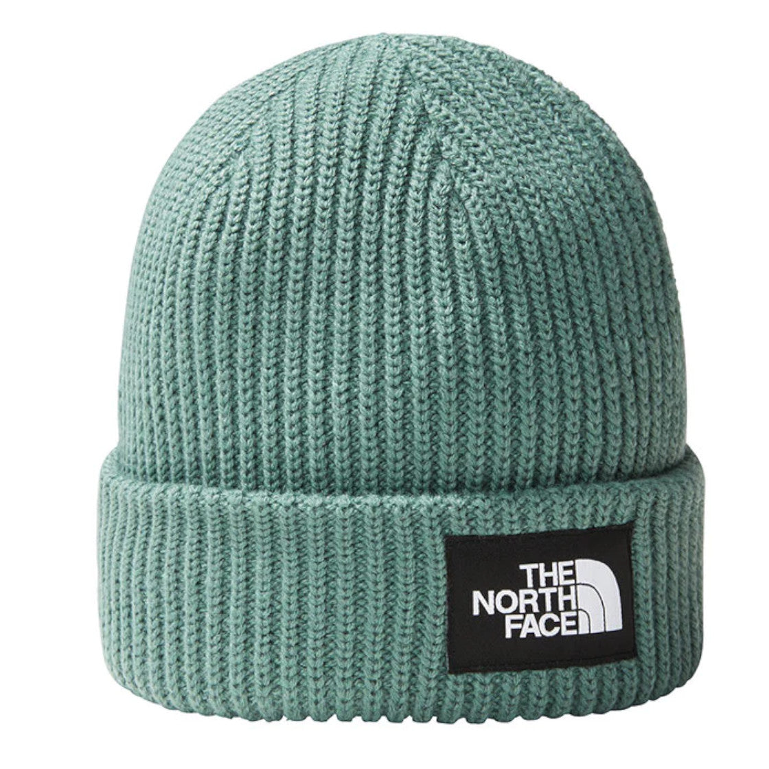 ACCESSORI LIFESTYLE Verde Salvia The North Face
