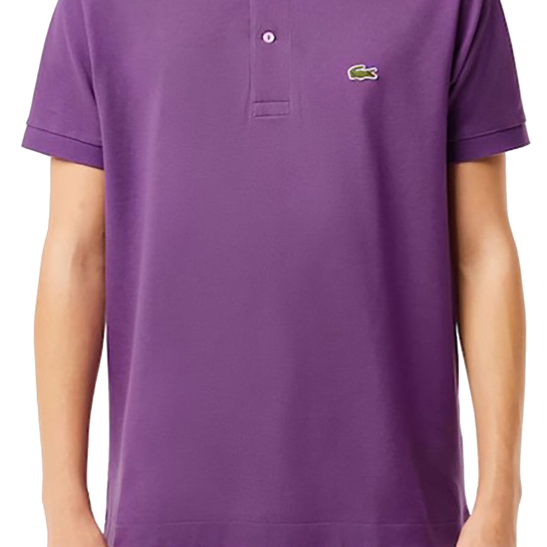 MAGLIONI E POLO Viola Lacoste
