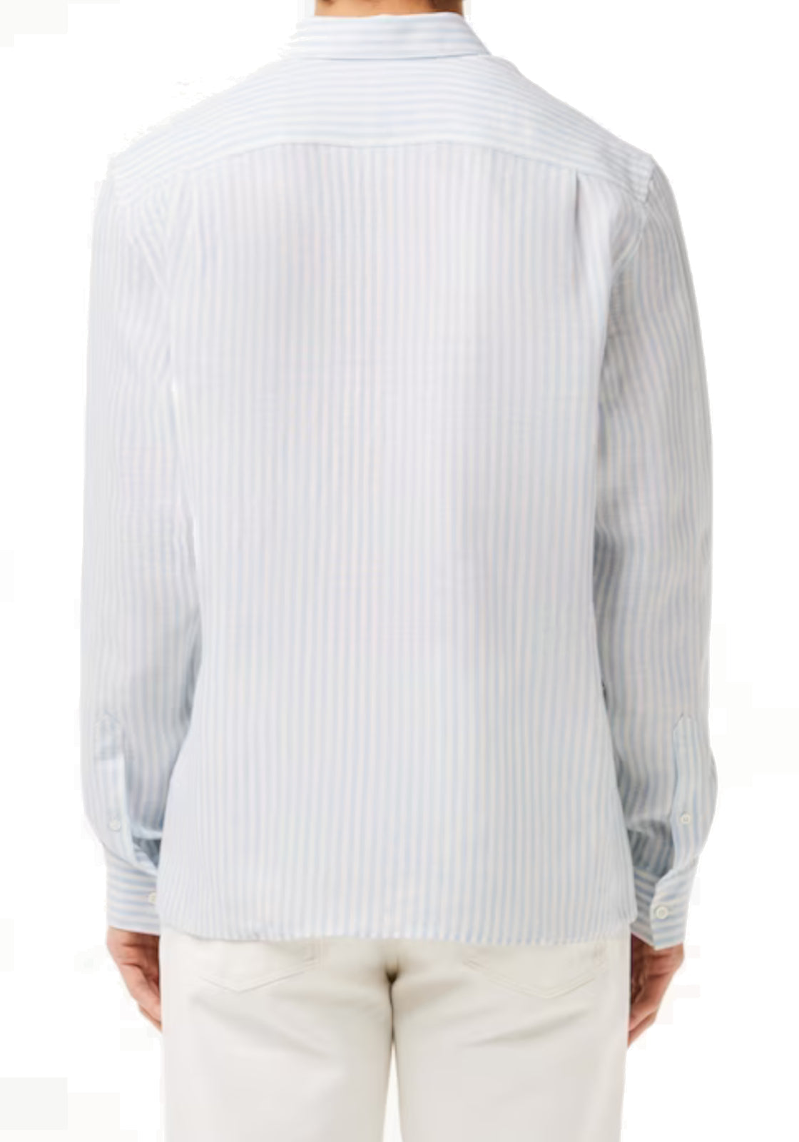 CAMICIE Bianco/celeste Lacoste