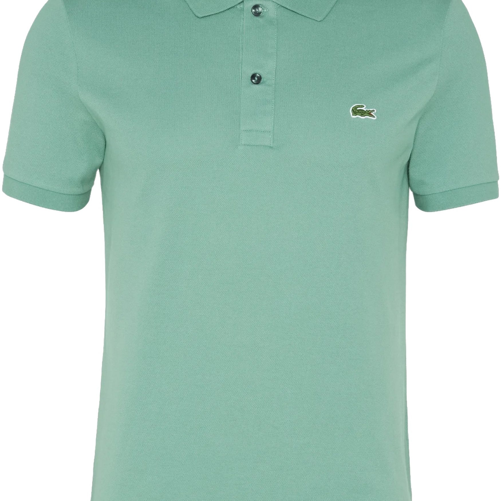MAGLIONI E POLO Ottanio Lacoste