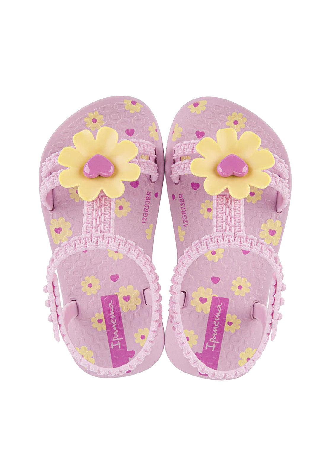 CIABATTE-INFRADITO Rosa Ipanema