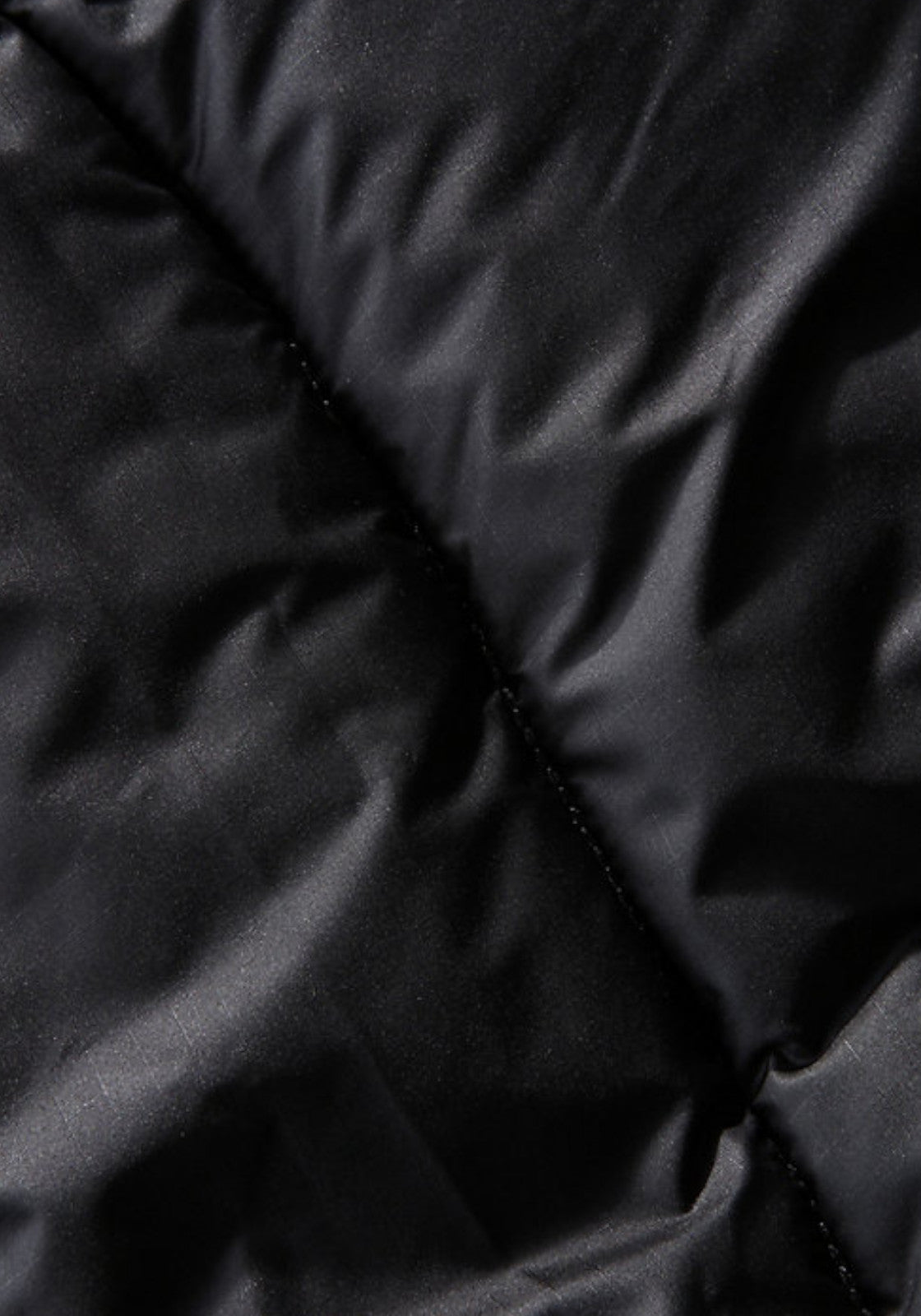 GIUBBINI E GIACCHE Nero The North Face