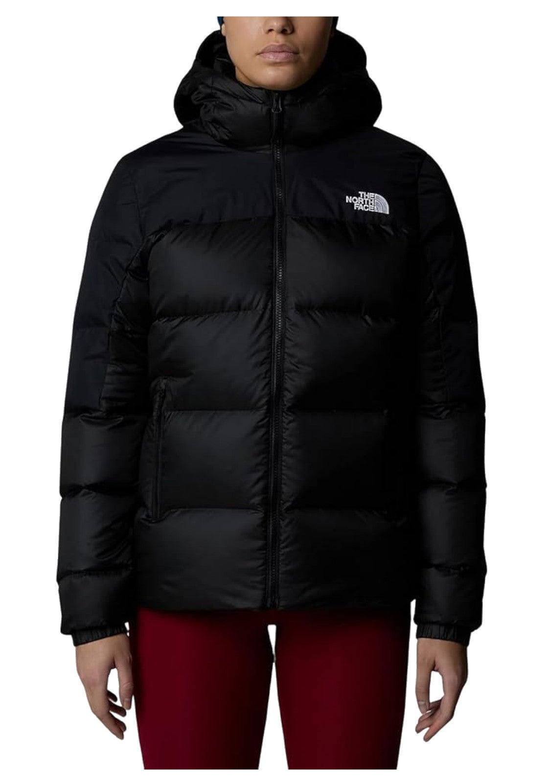 GIUBBINI E GIACCHE Nero The North Face