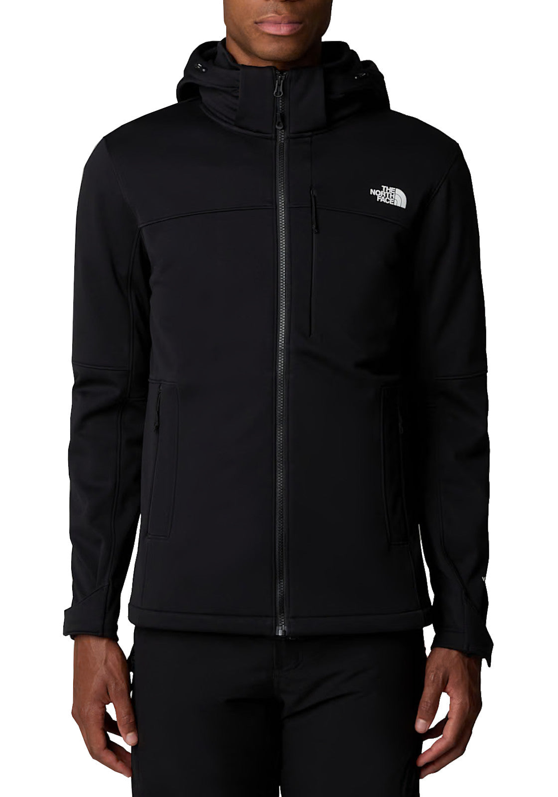 GIUBBINI E GIACCHE Nero The North Face