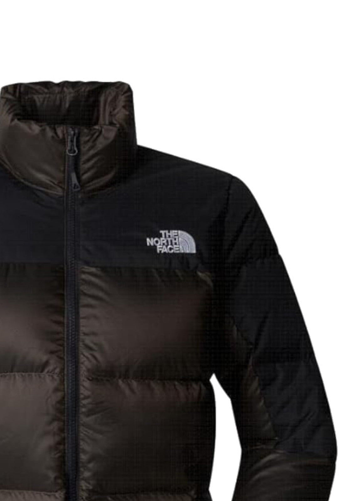 GIUBBINI E GIACCHE Marrone/nero The North Face