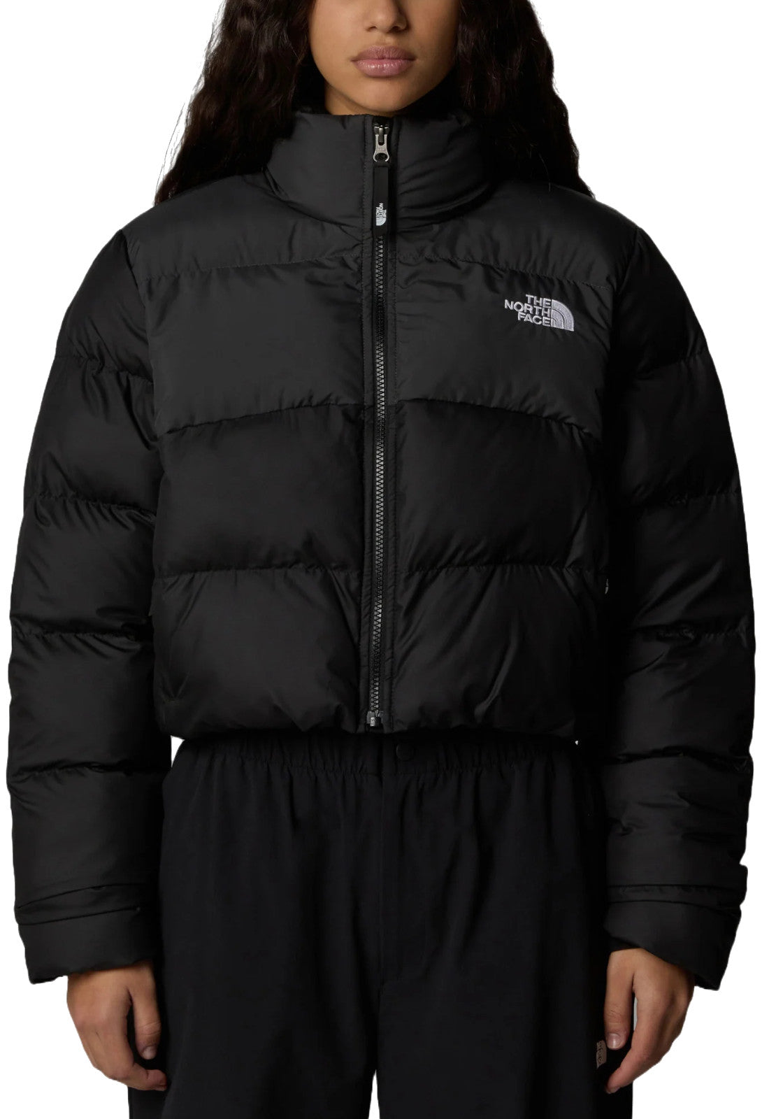 GIUBBINI E GIACCHE Nero The North Face