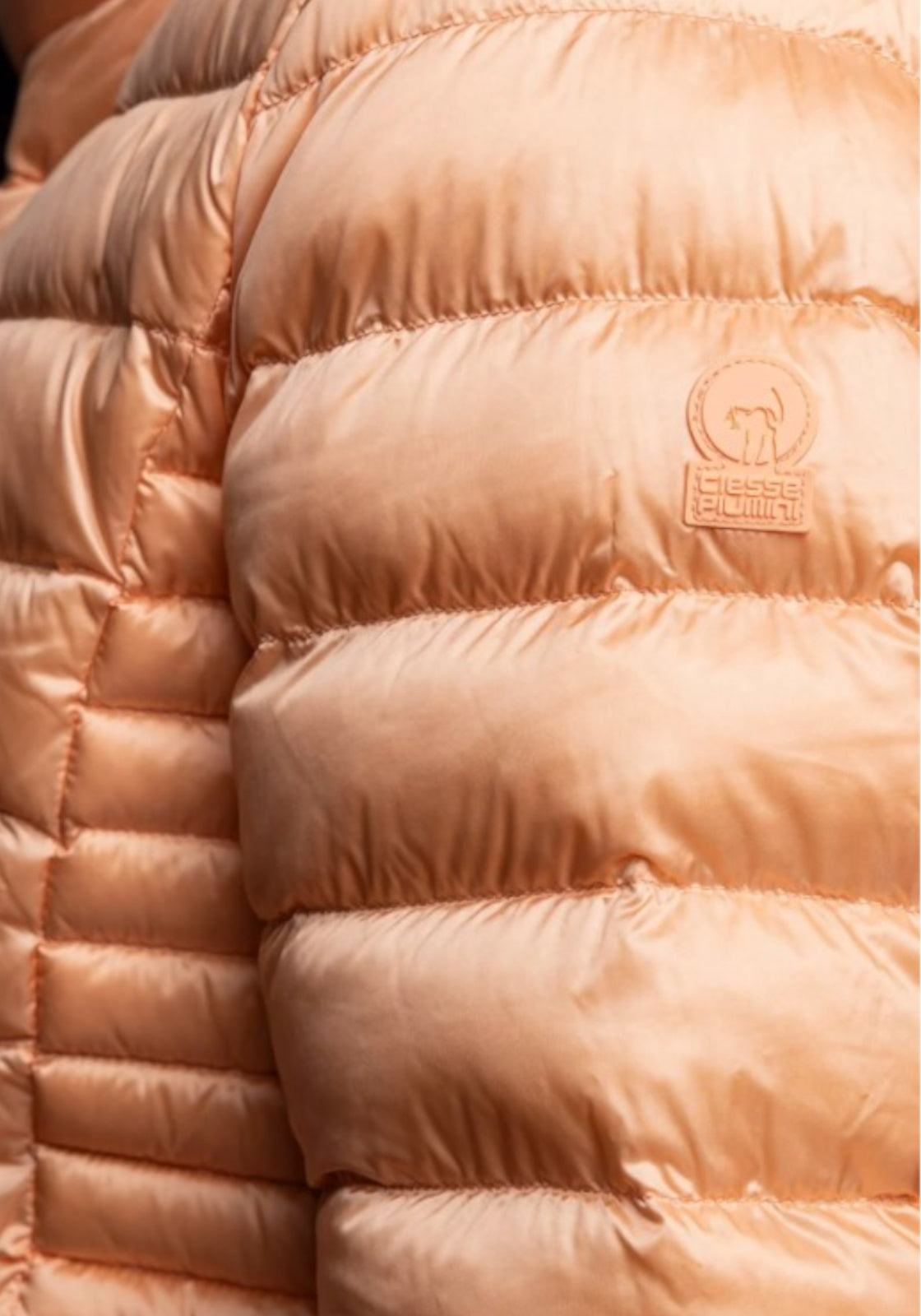 GIUBBINI E GIACCHE Beige Ciesse