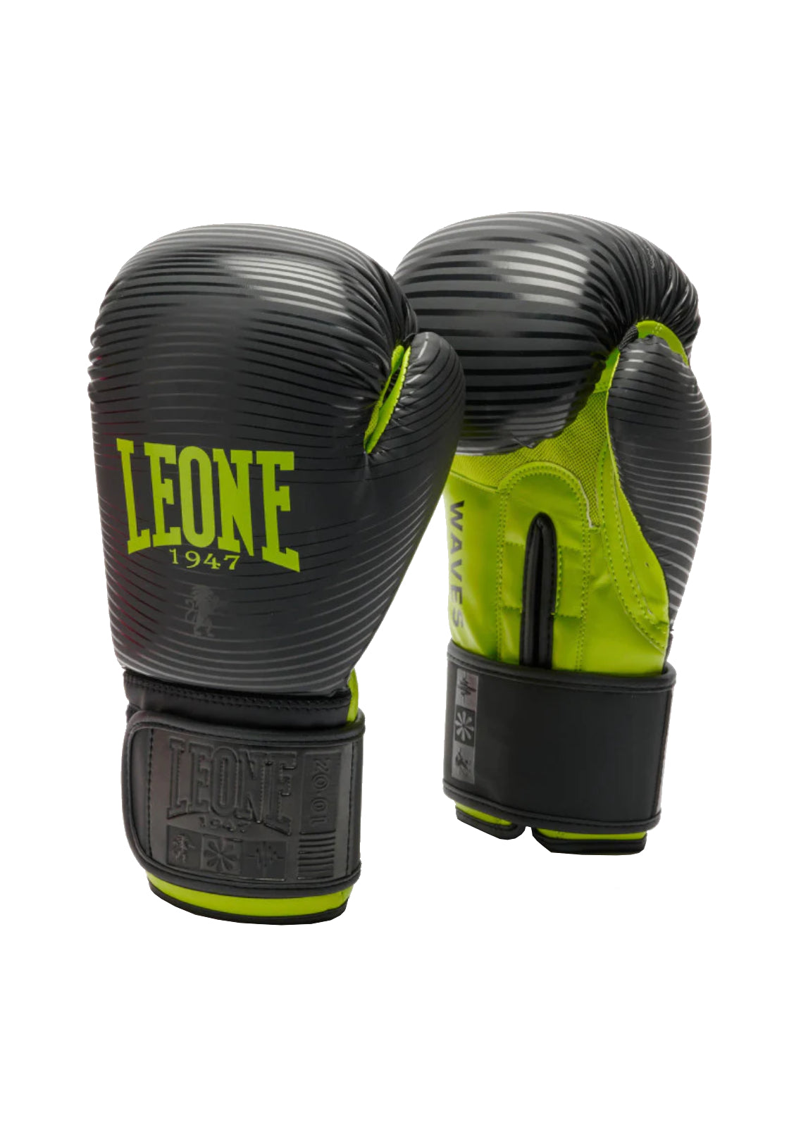 BOXE-KARATE-JUDO Nero/verde Leone