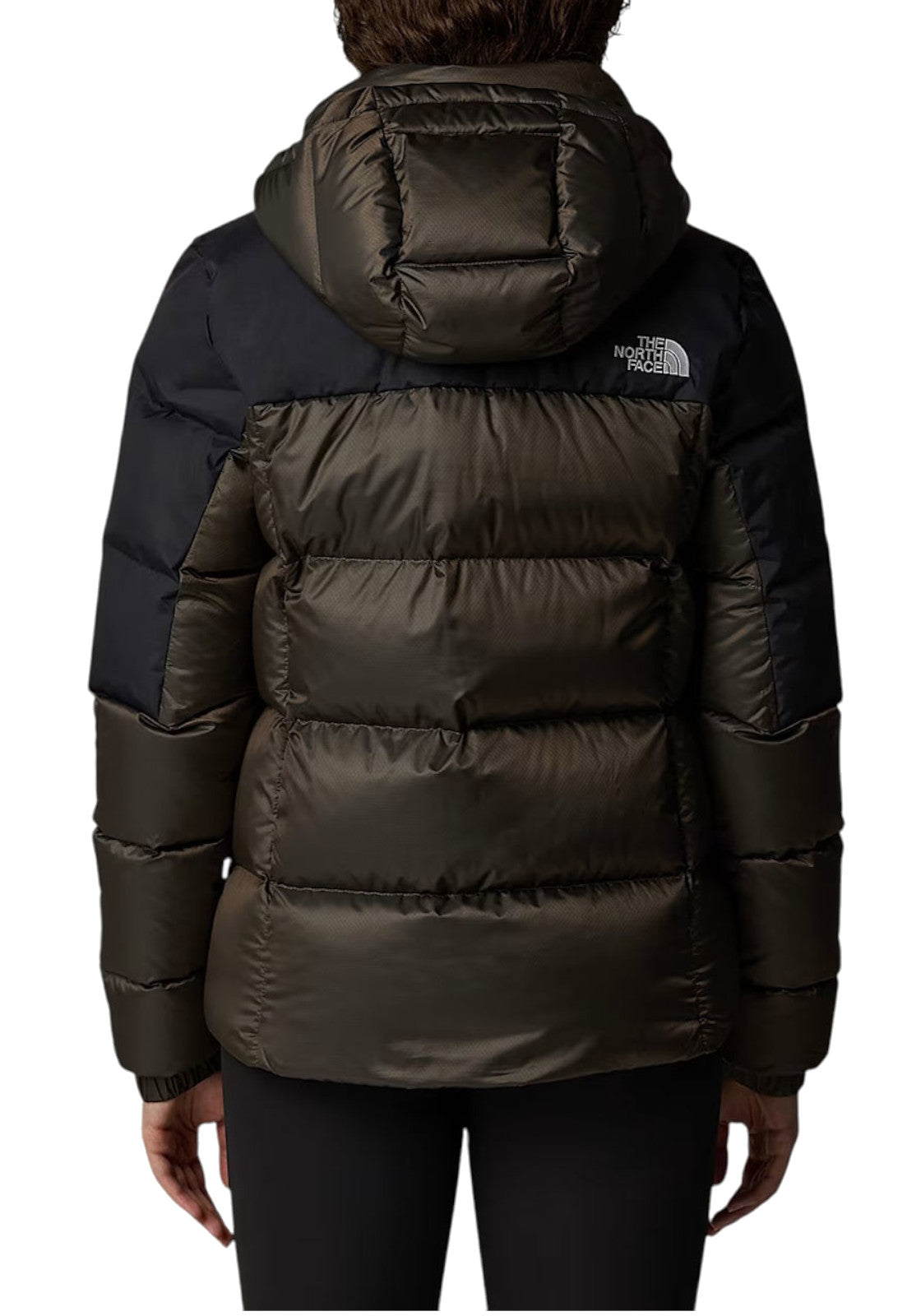 GIUBBINI E GIACCHE Bronzo The North Face