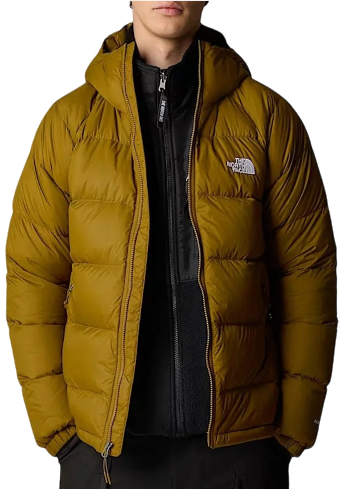 GIUBBINI E GIACCHE Verde Militare The North Face