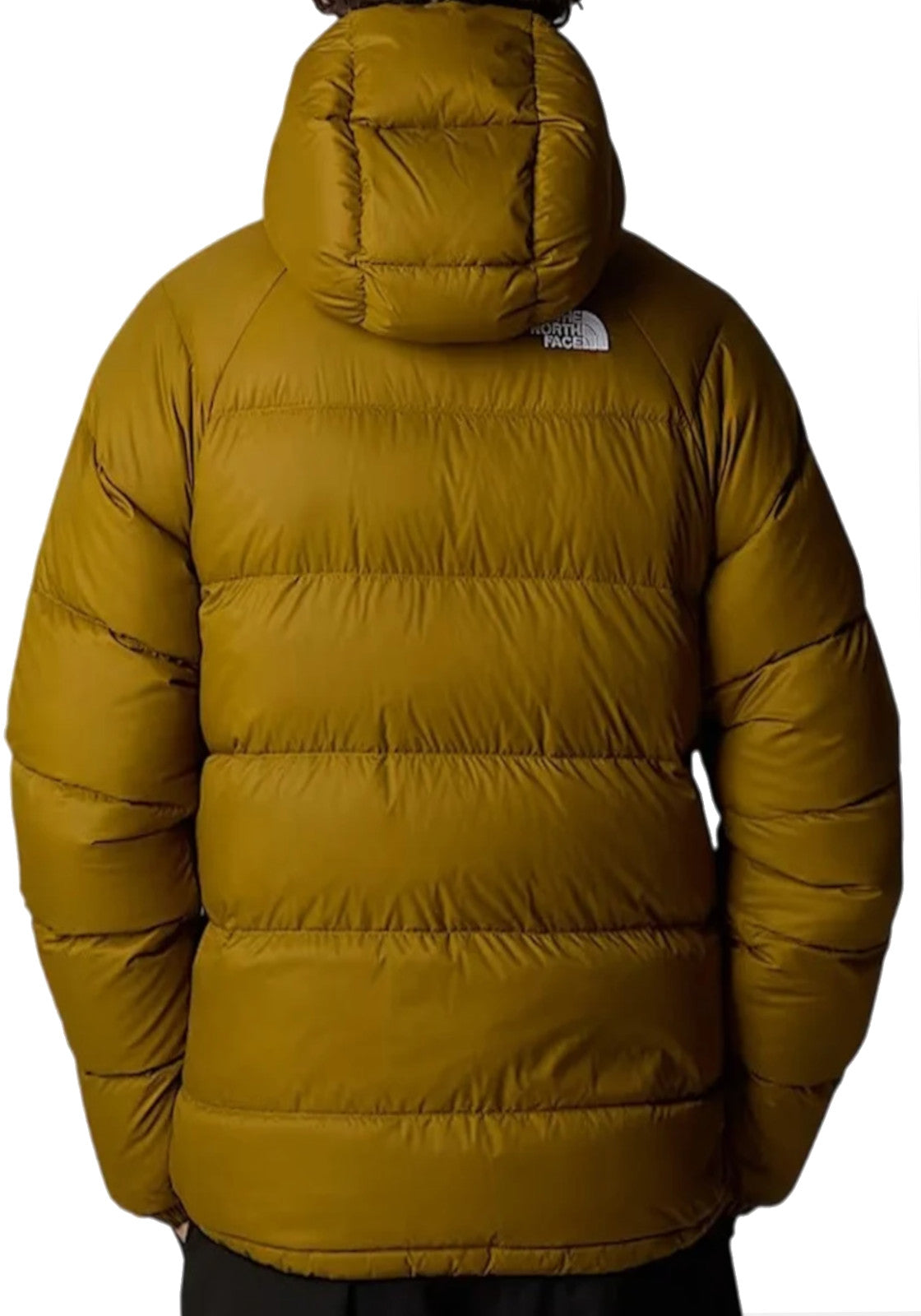 GIUBBINI E GIACCHE Verde Militare The North Face