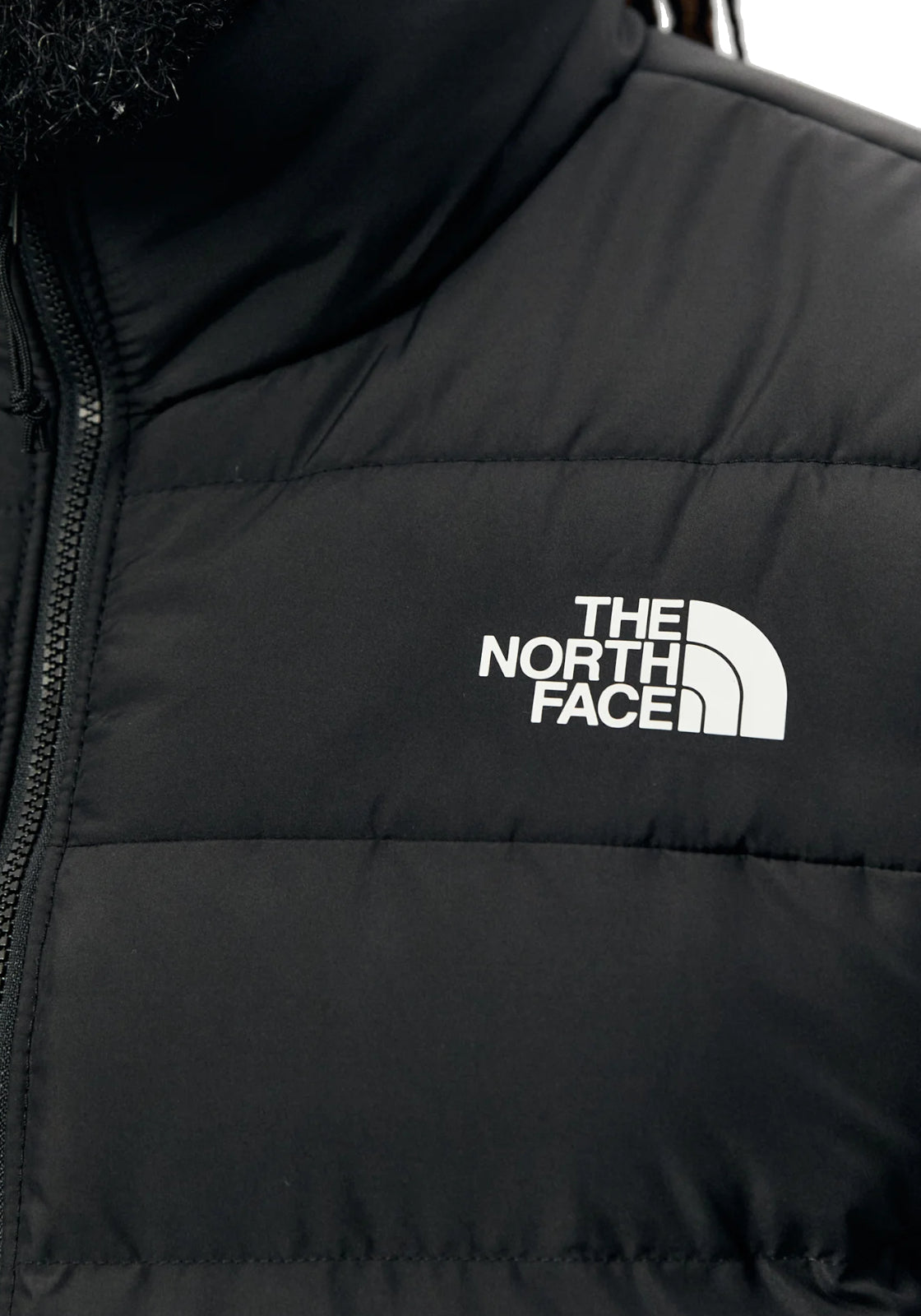GIUBBINI E GIACCHE Nero The North Face
