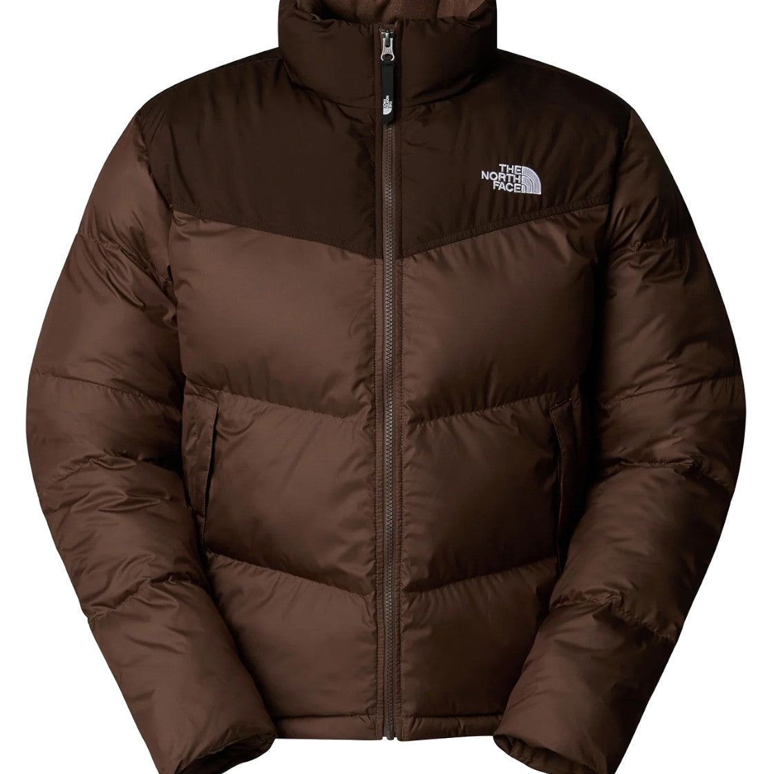 GIUBBINI E GIACCHE Marrone The North Face