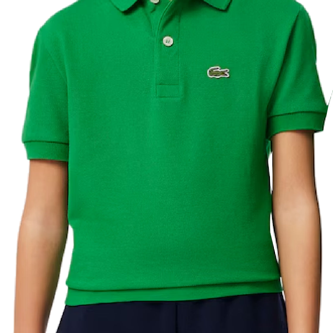 MAGLIONI E POLO Verde Prato Lacoste