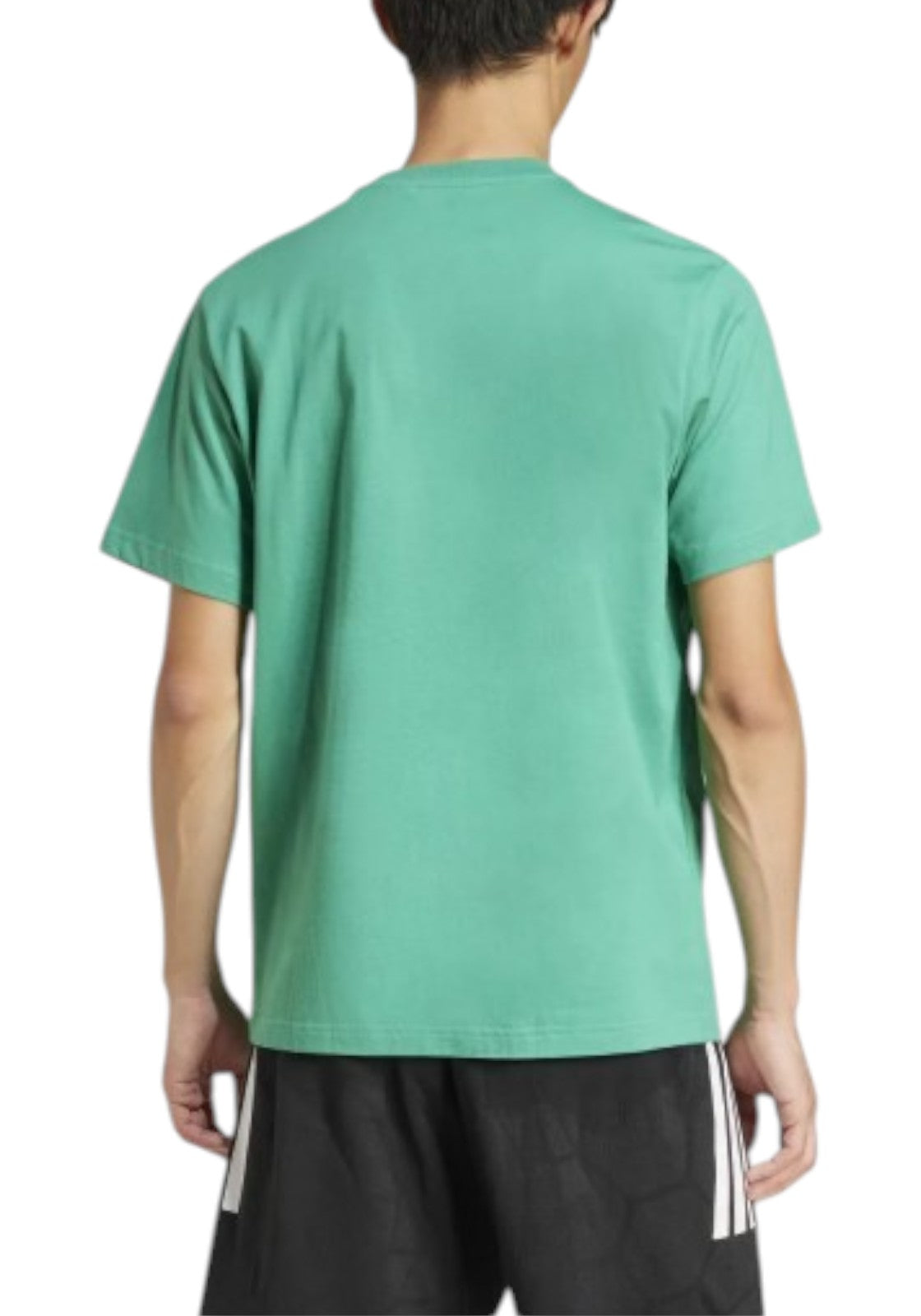 T-SHIRT E CANOTTE Verde/bianco Adidas