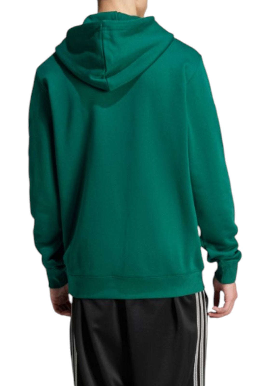 FELPE Verde Adidas Originals