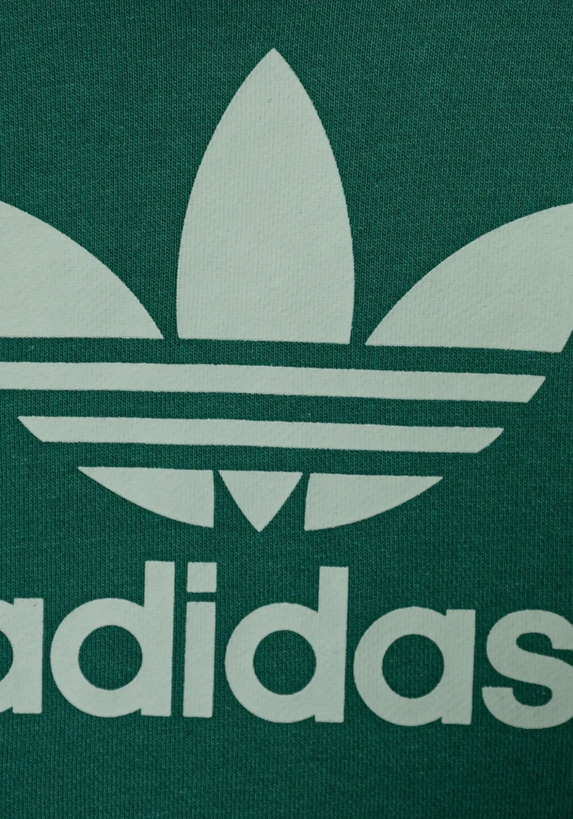 FELPE Verde Adidas Originals