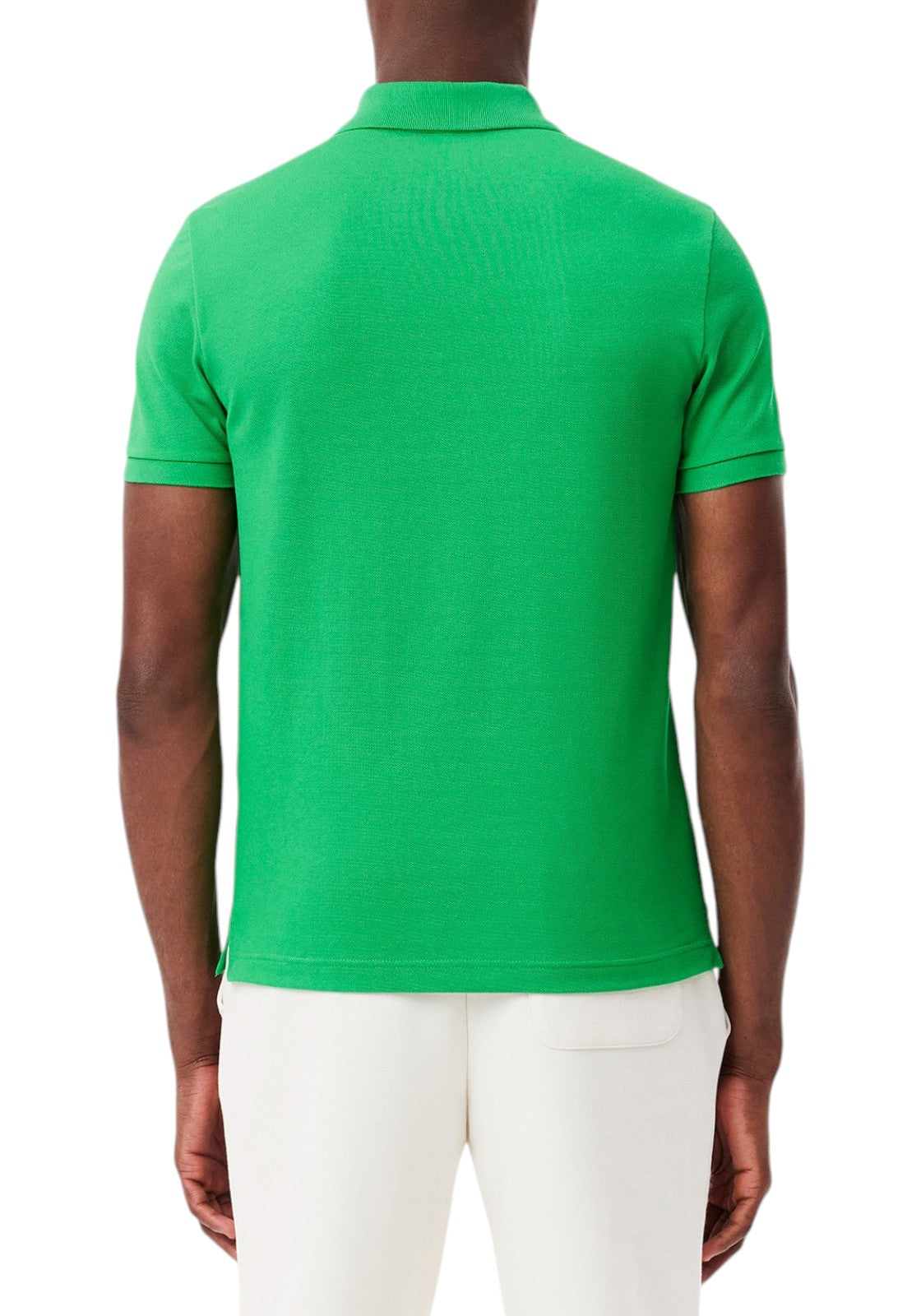 MAGLIONI E POLO Verde Prato Lacoste