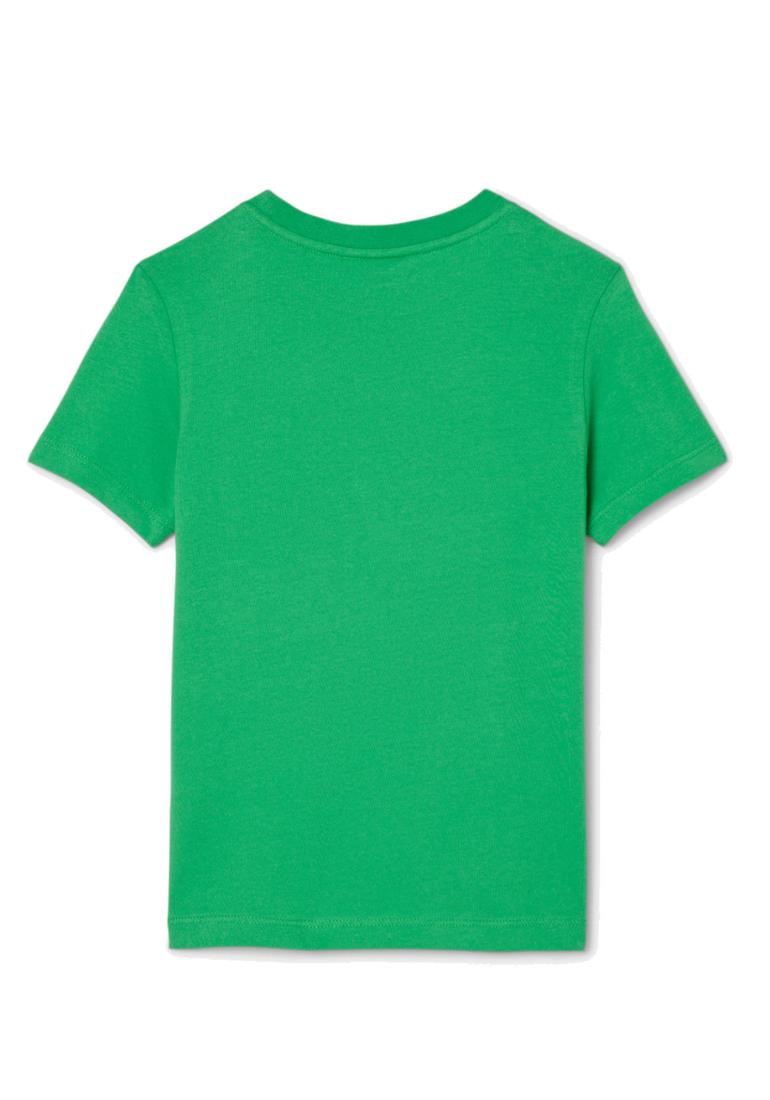 T-SHIRT E CANOTTE Verde Prato Lacoste