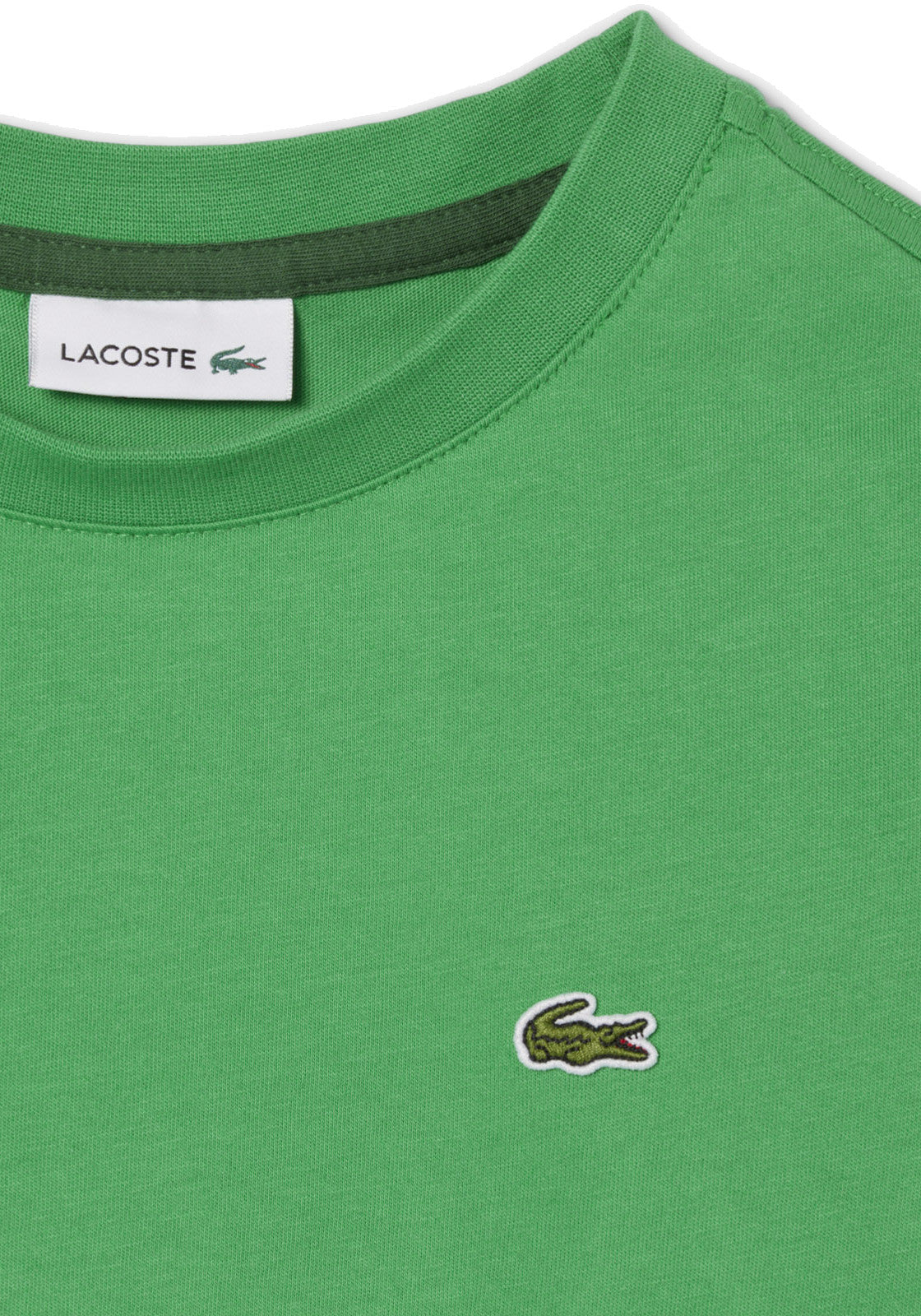 T-SHIRT E CANOTTE Verde Prato Lacoste