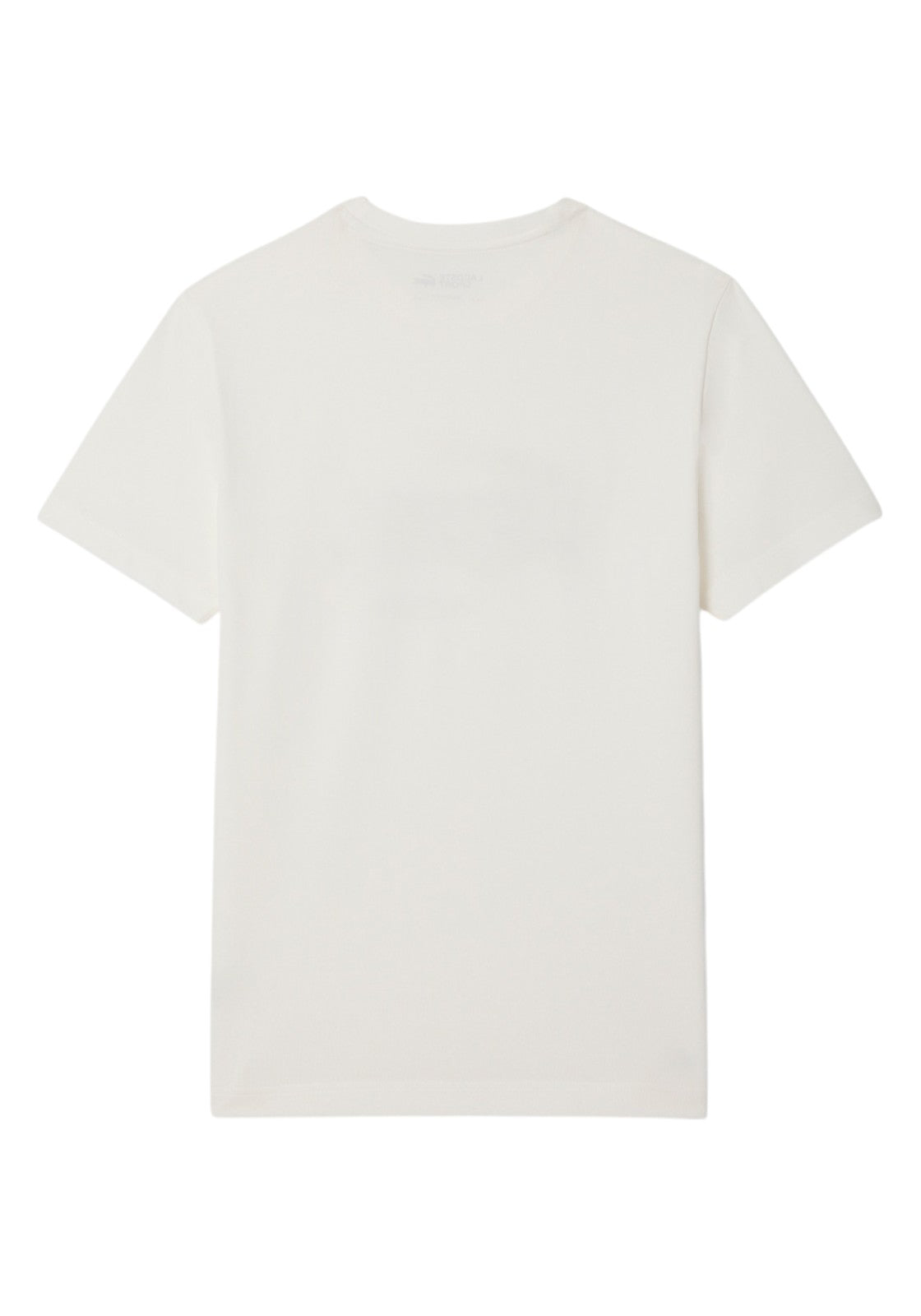 T-SHIRT E CANOTTE Bianco/verde Lacoste