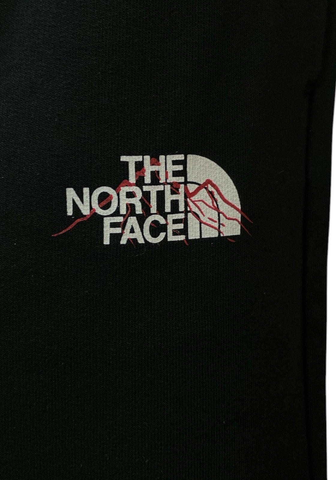 PANTALONCINI Nero The North Face