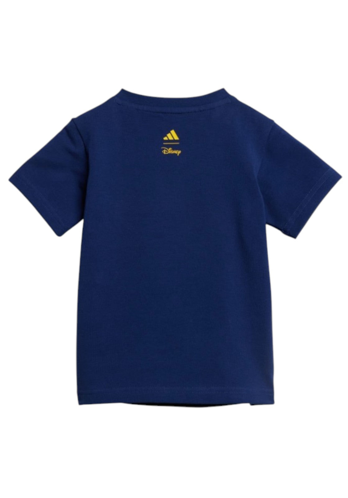 TUTE Blu/celeste Adidas