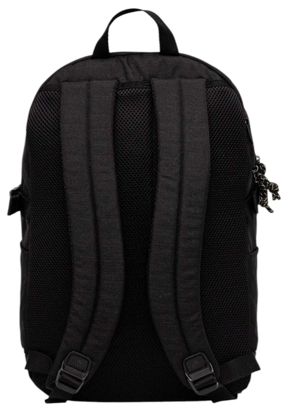 ACCESSORI LIFESTYLE Nero/oro Adidas