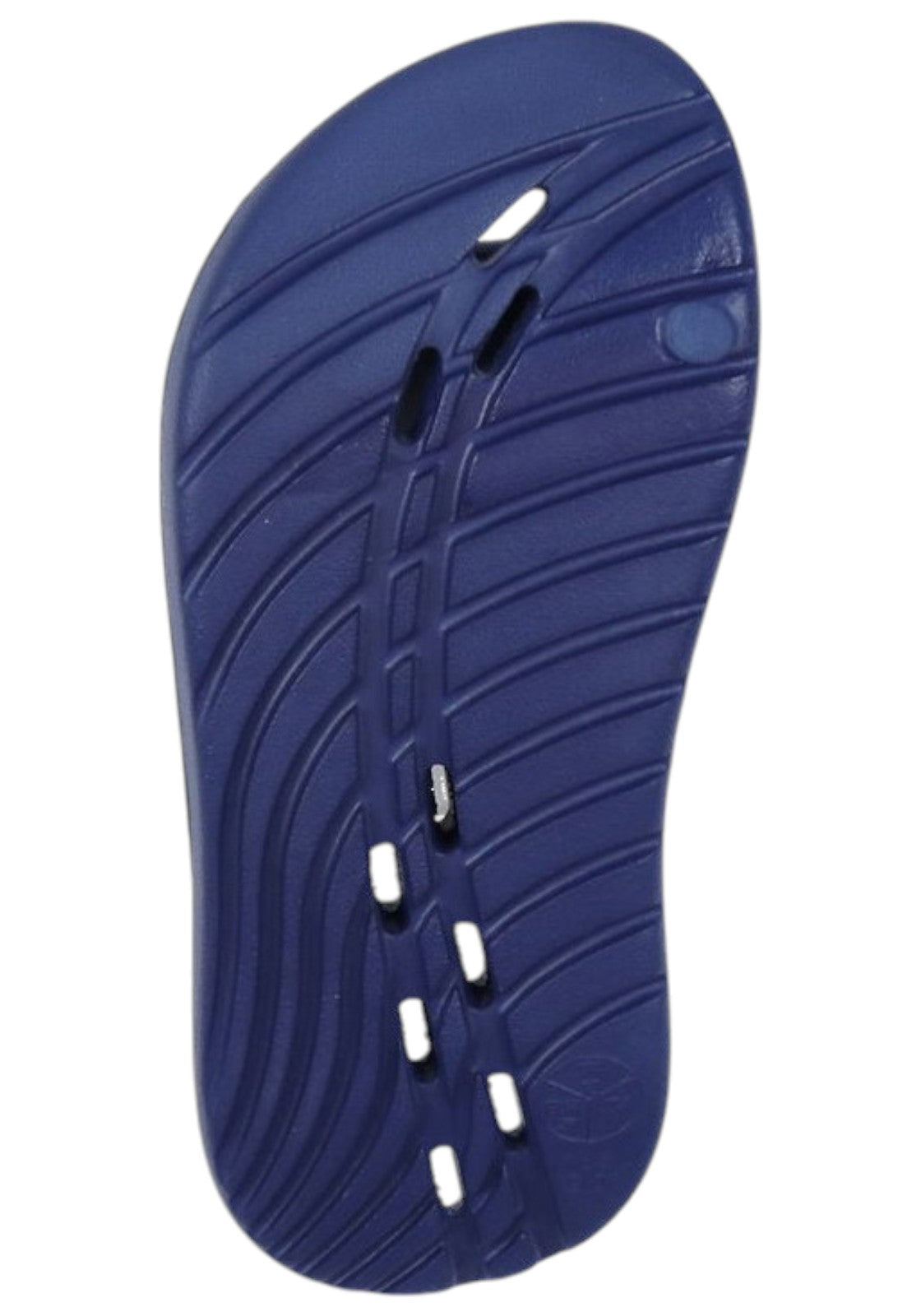 CIABATTE-INFRADITO Azzurro/bianco Speedo