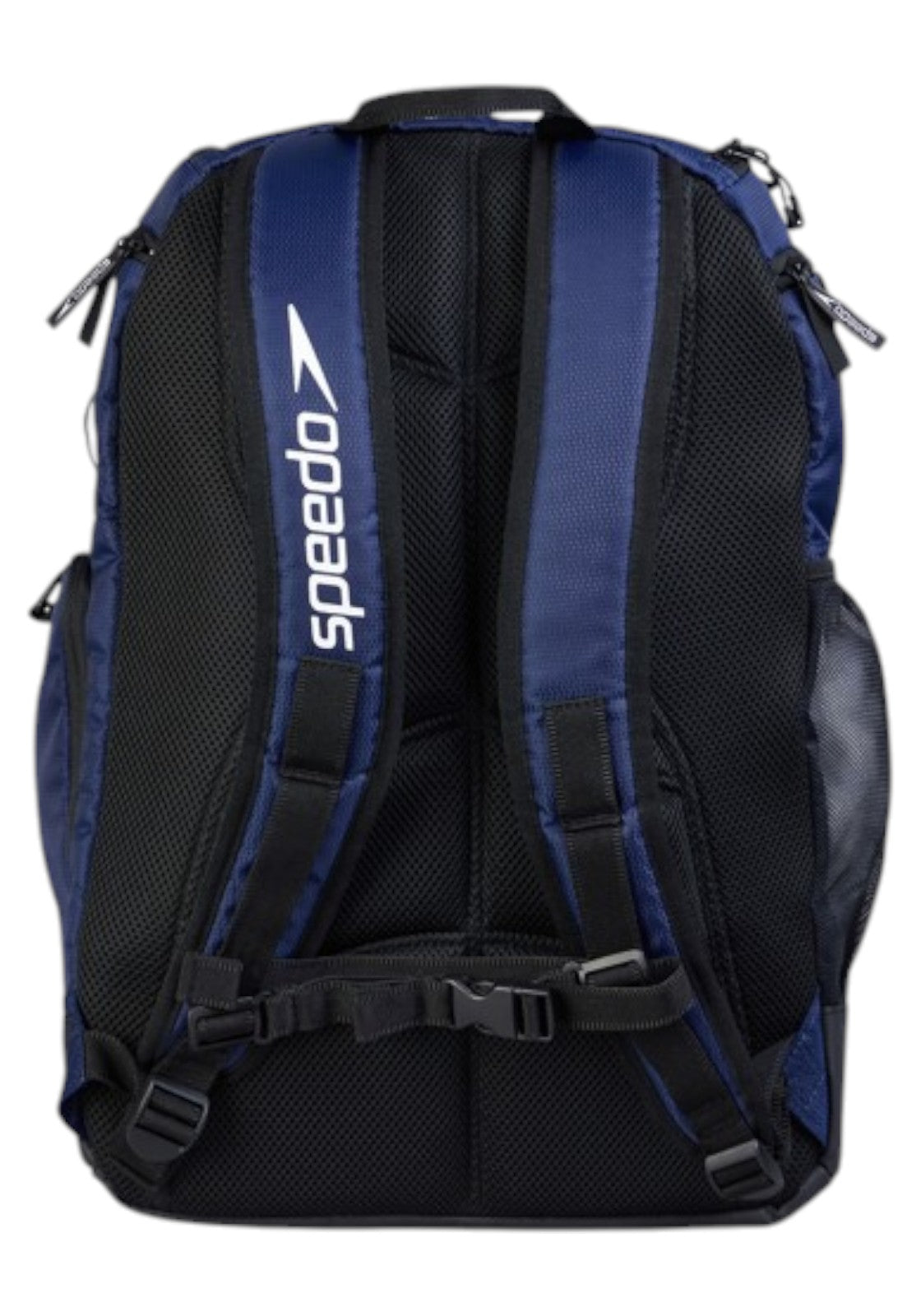 ACCESSORI LIFESTYLE Blu/nero Speedo
