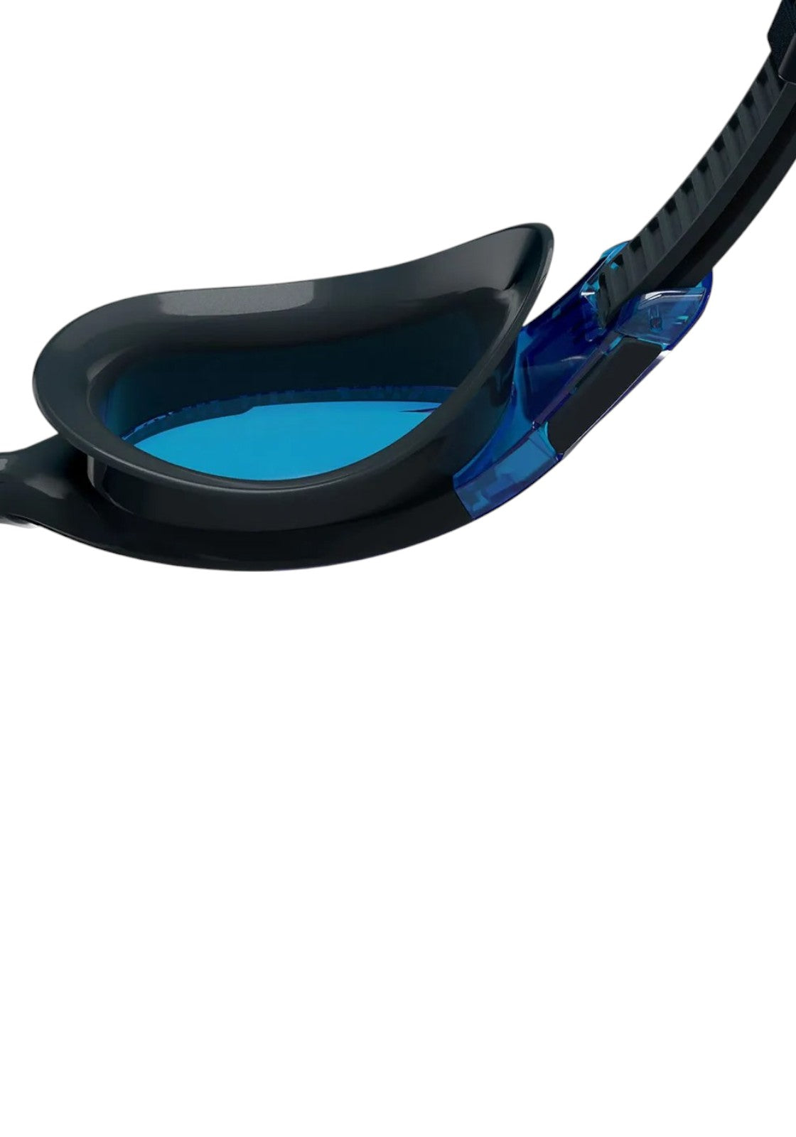 ACCESSORI PISCINA Blu Speedo