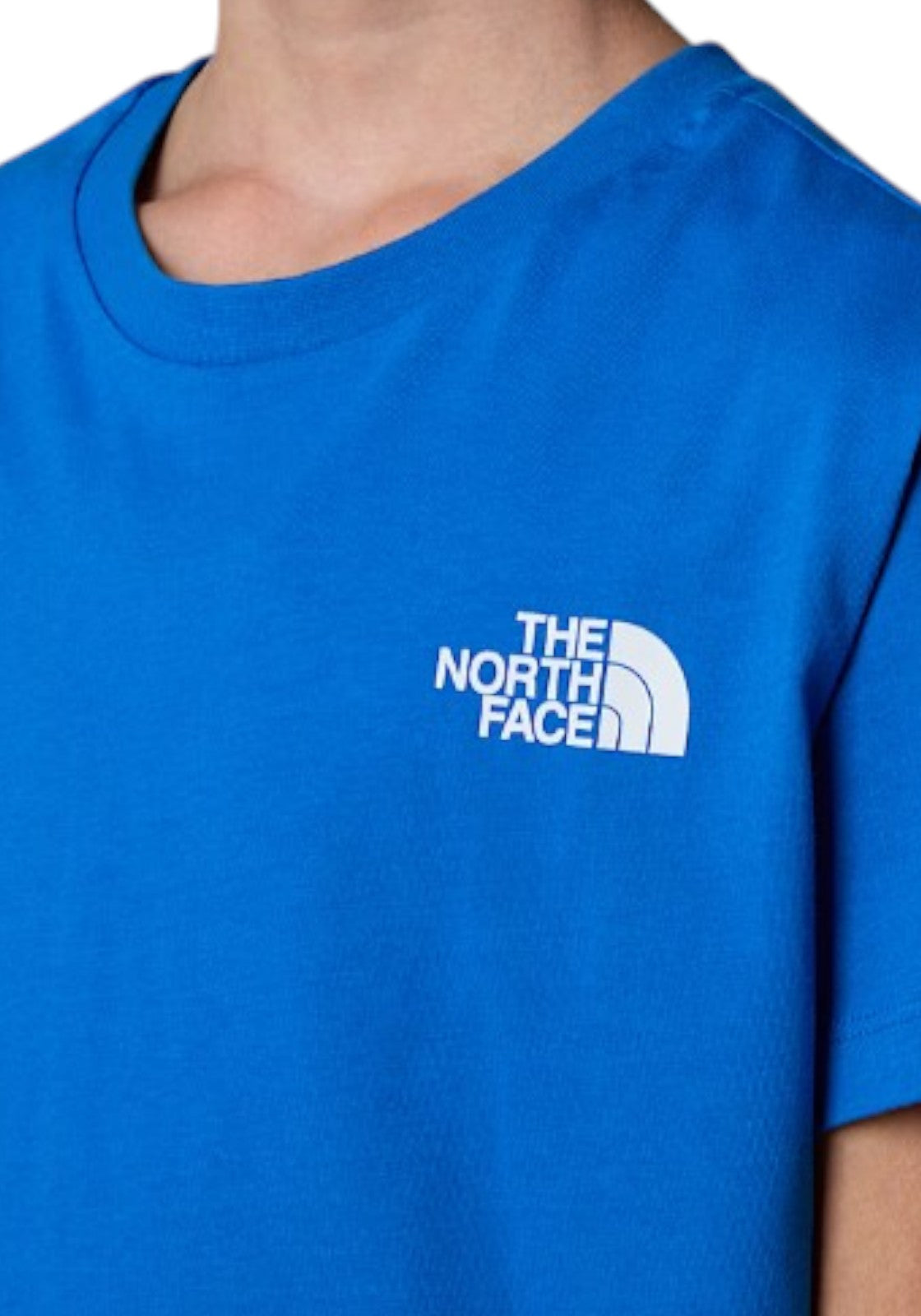 T-SHIRT E CANOTTE Azzurro The North Face