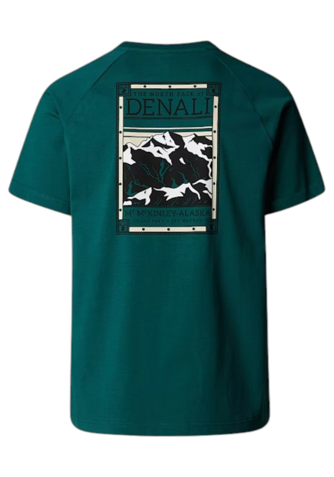 T-SHIRT E CANOTTE Verde Bosco The North Face