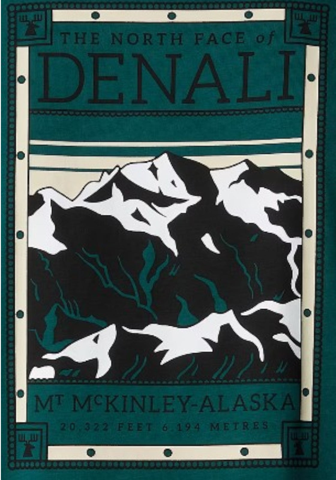 T-SHIRT E CANOTTE Verde Bosco The North Face