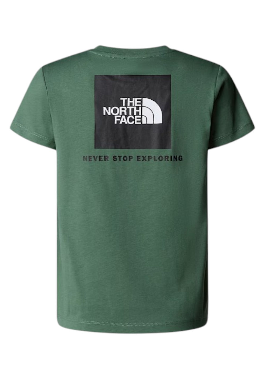 T-SHIRT E CANOTTE Verde/nero The North Face