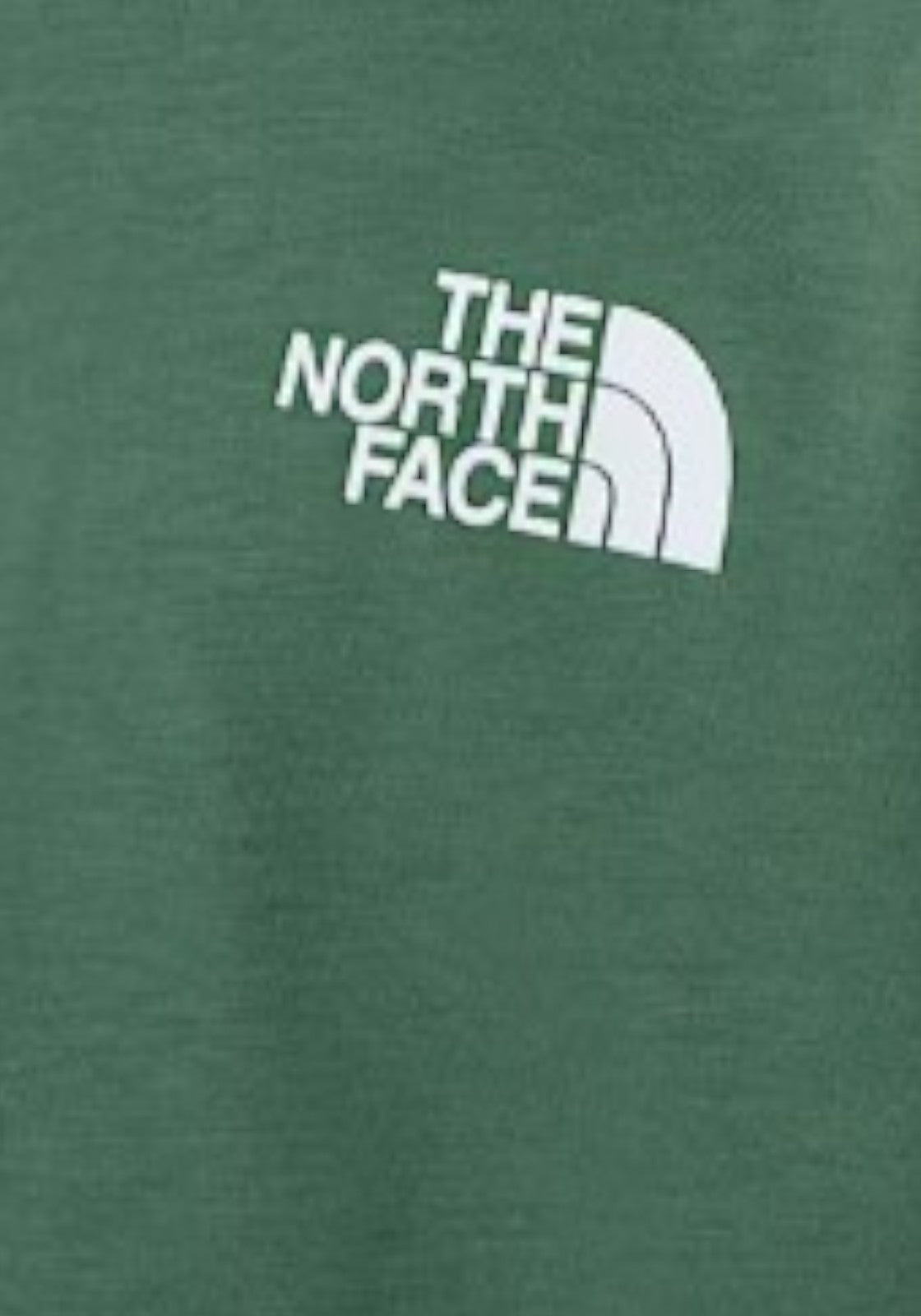 T-SHIRT E CANOTTE Verde/nero The North Face